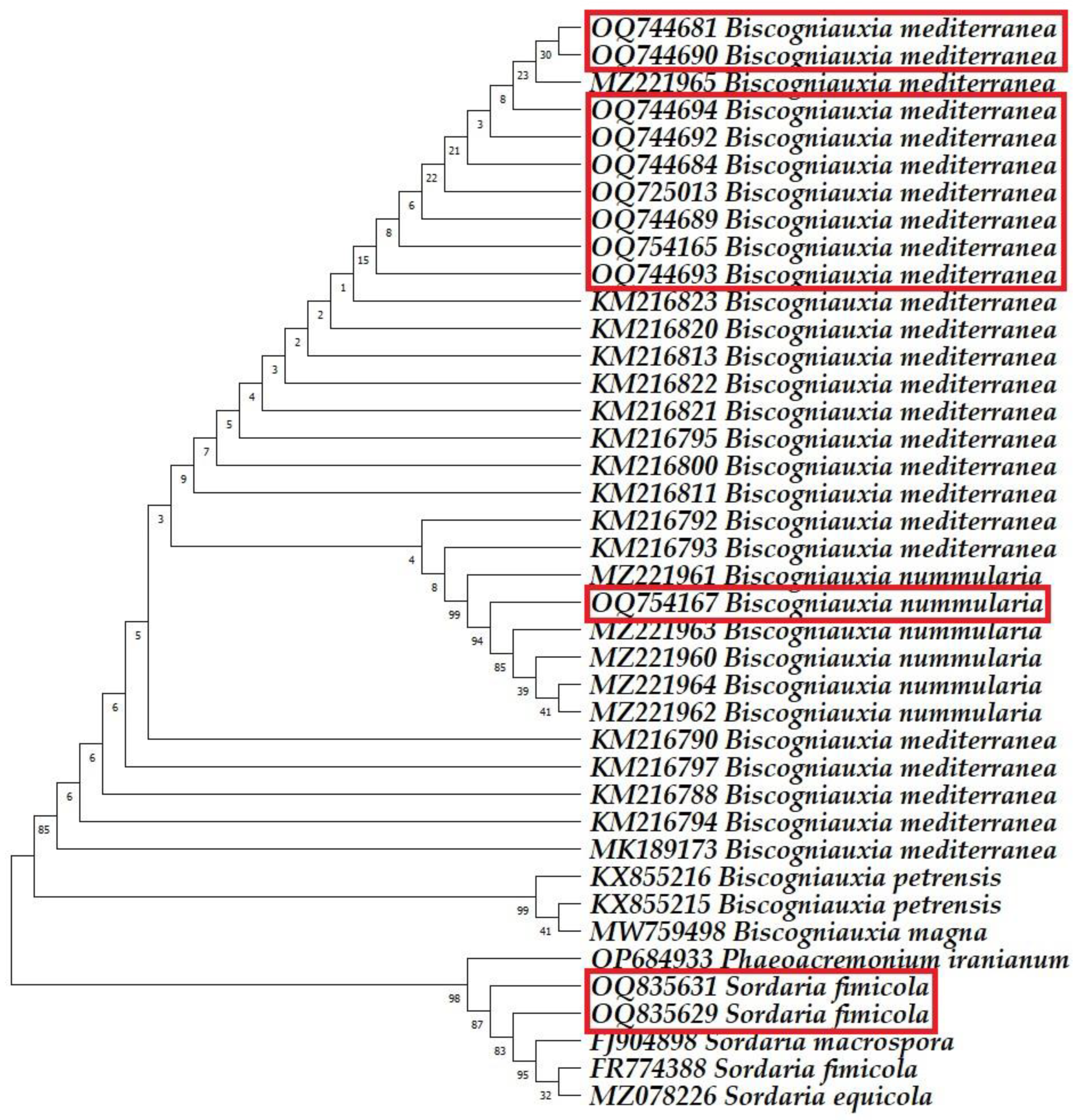 Horticulturae 10 00243 g006