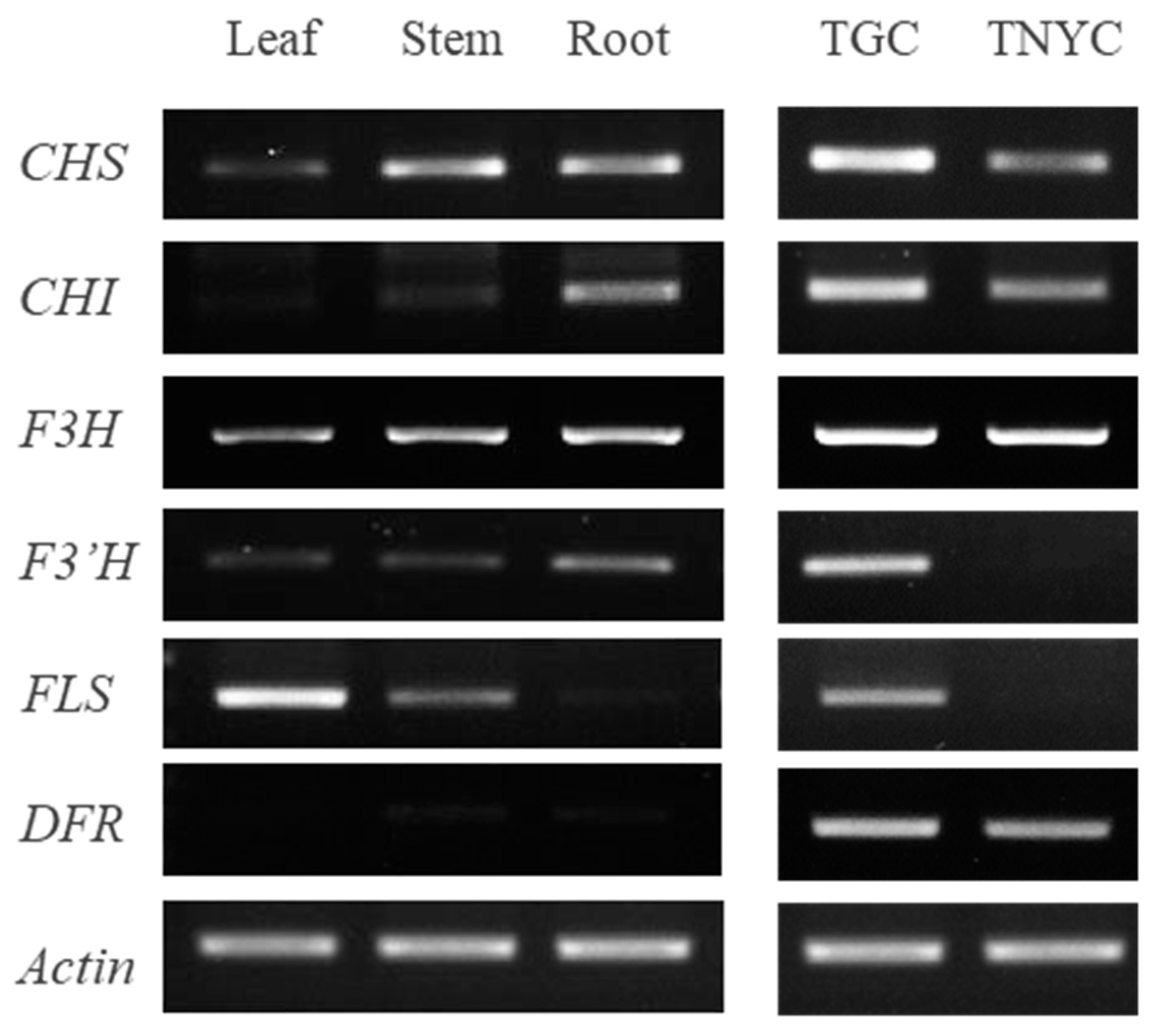 Horticulturae 10 00244 g004 Horticulturae 10 00244 g004