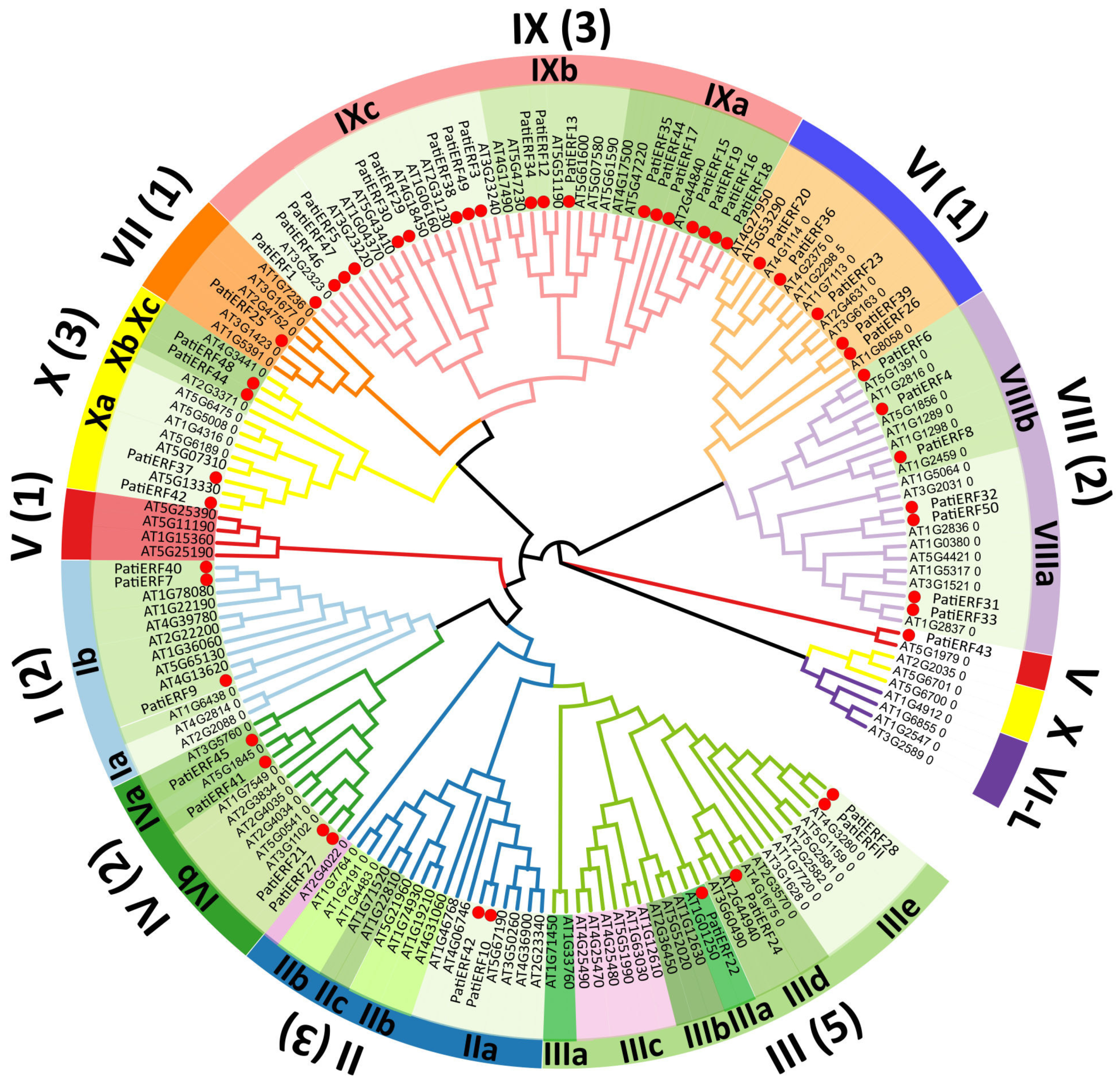 Horticulturae 10 00247 g003