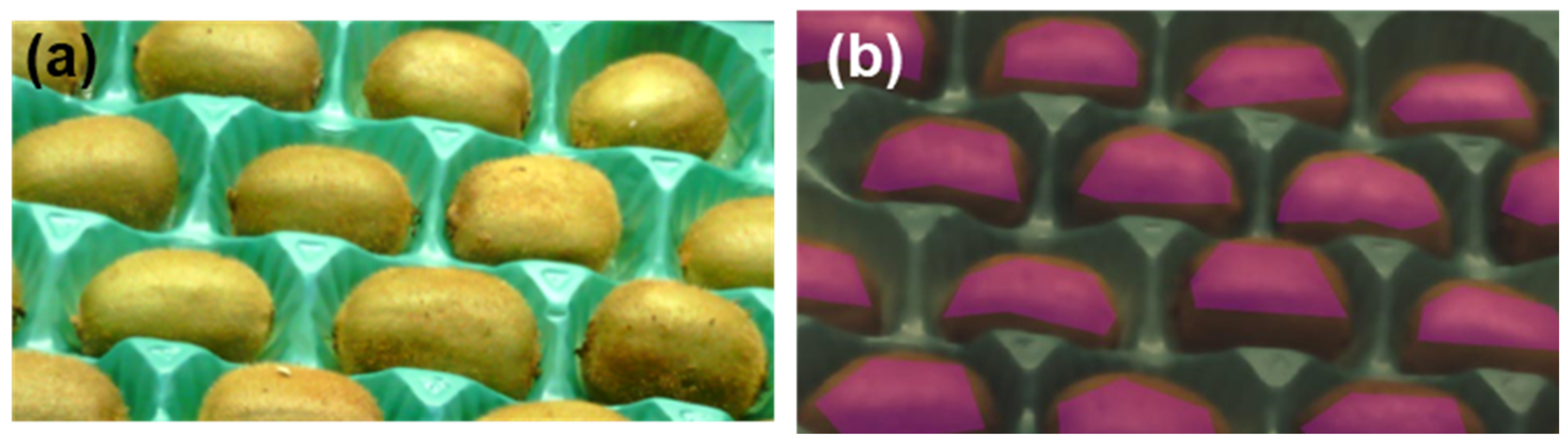Horticulturae 10 00251 g001