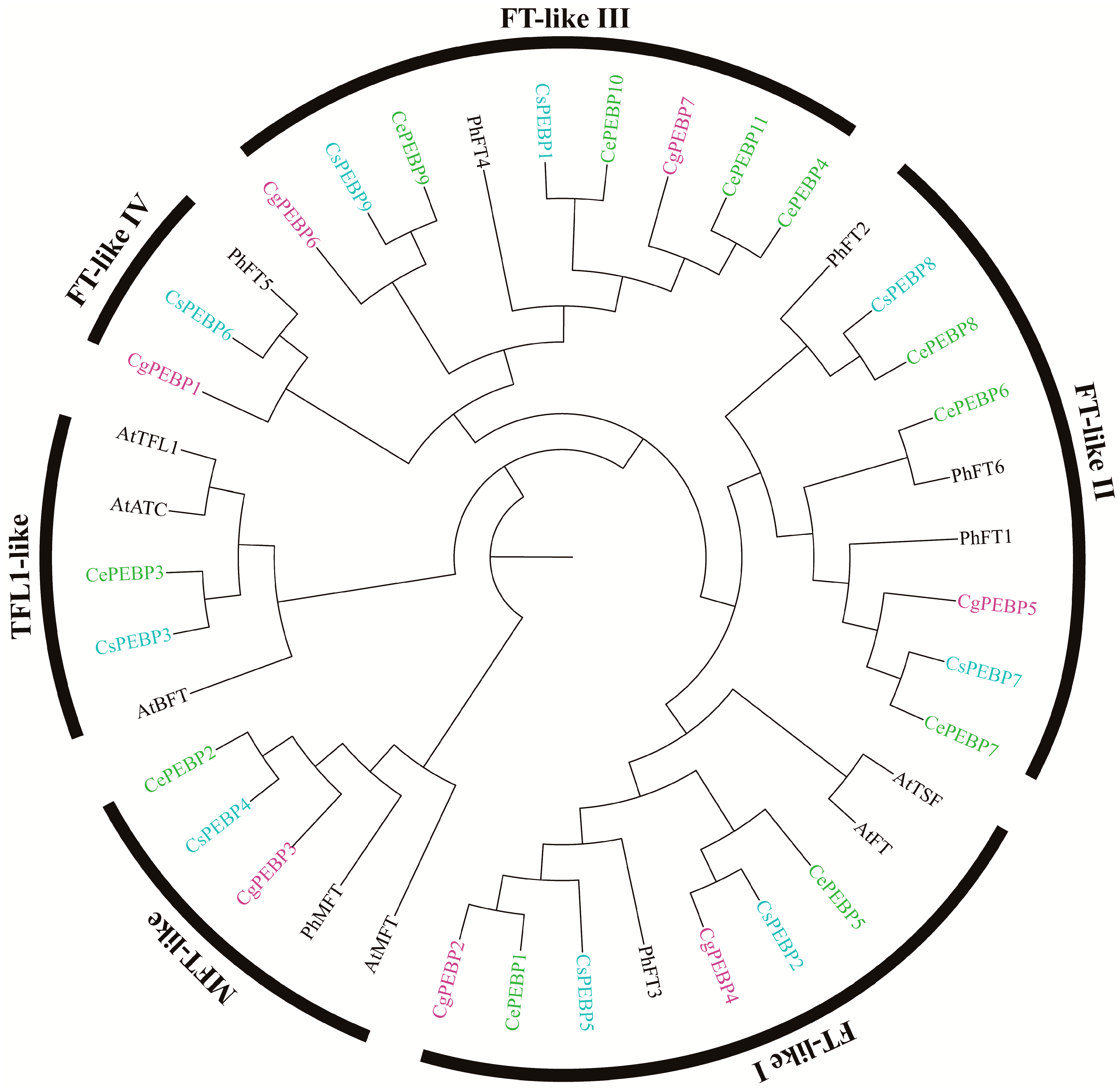 Horticulturae 10 00252 g002