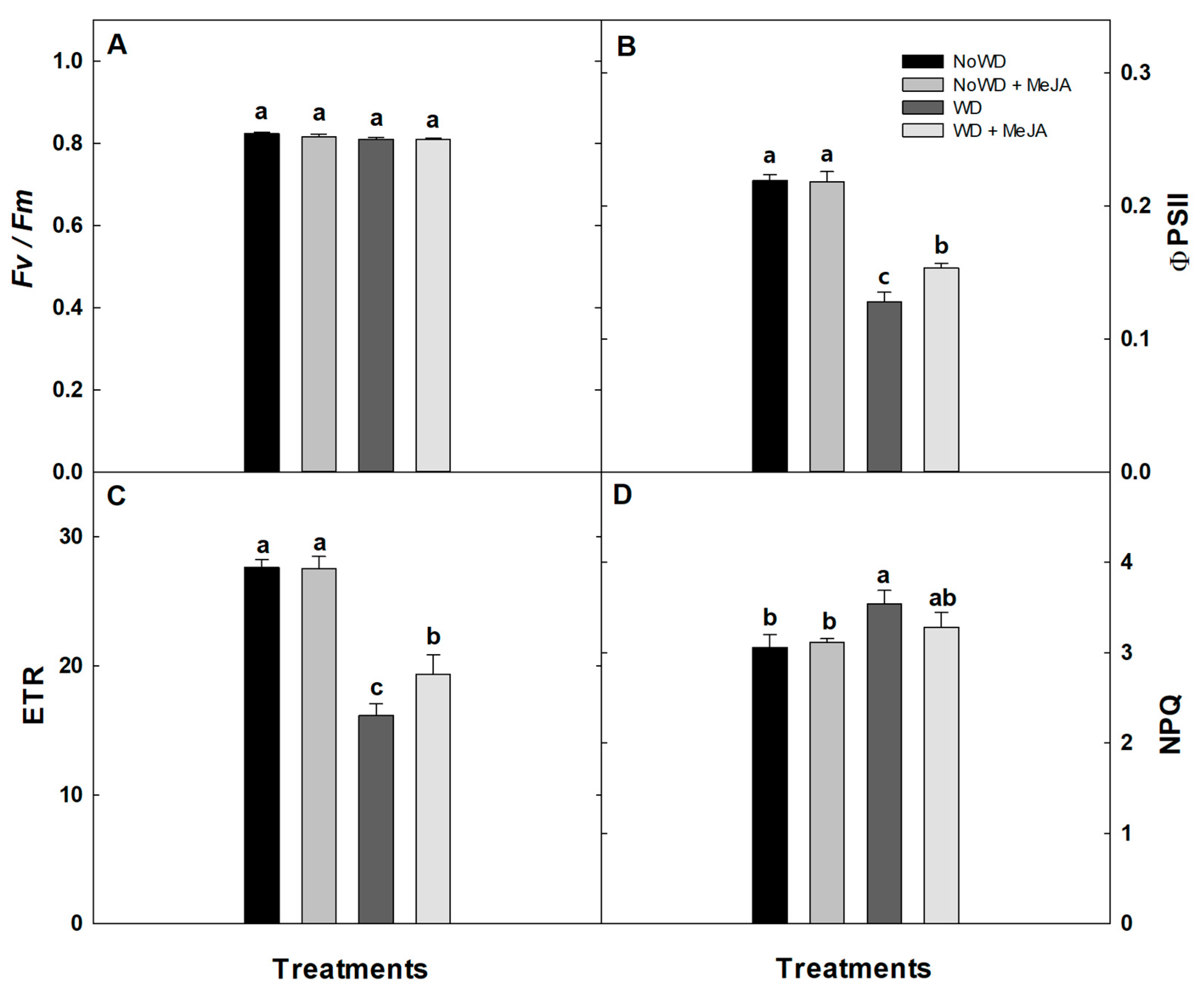 Horticulturae 10 00259 g004