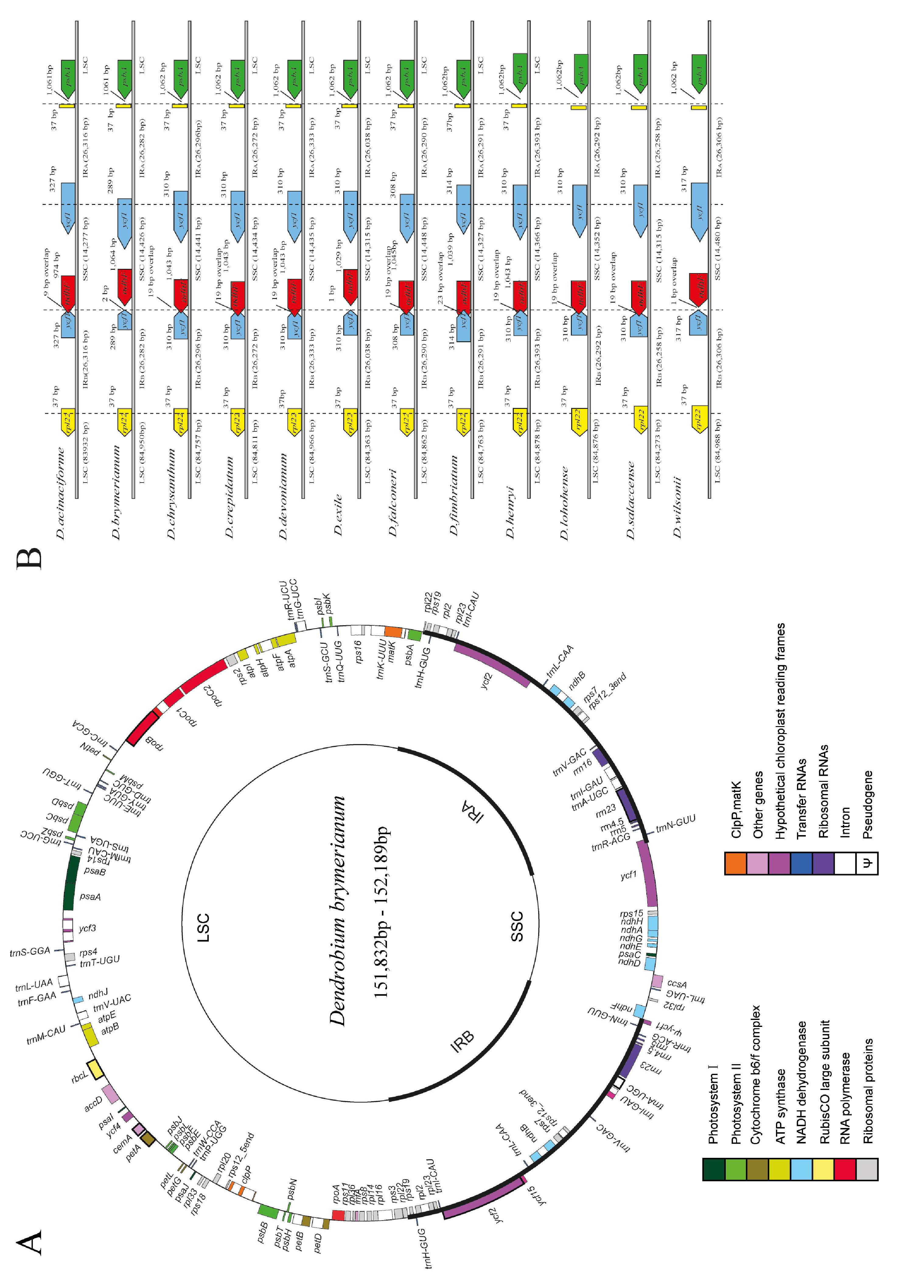 Horticulturae 10 00260 g001