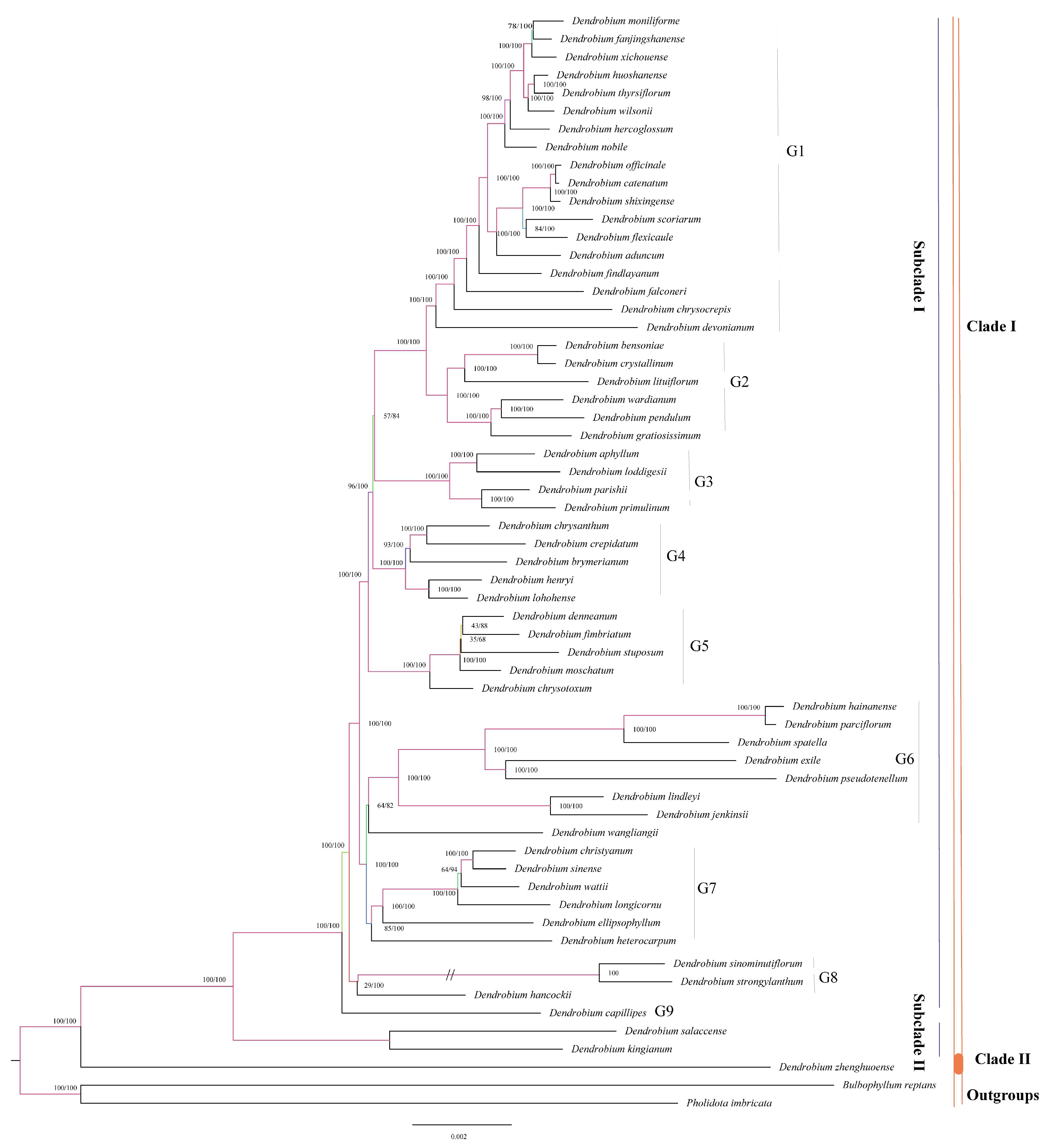 Horticulturae 10 00260 g004