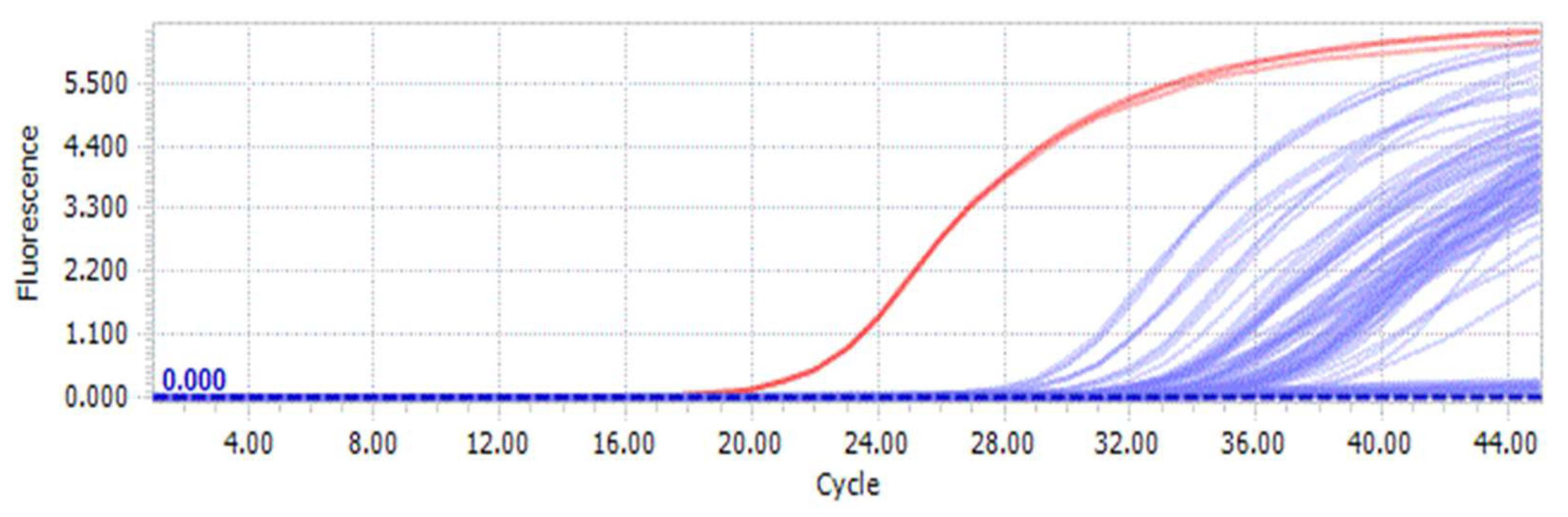 Horticulturae 10 00260 g005