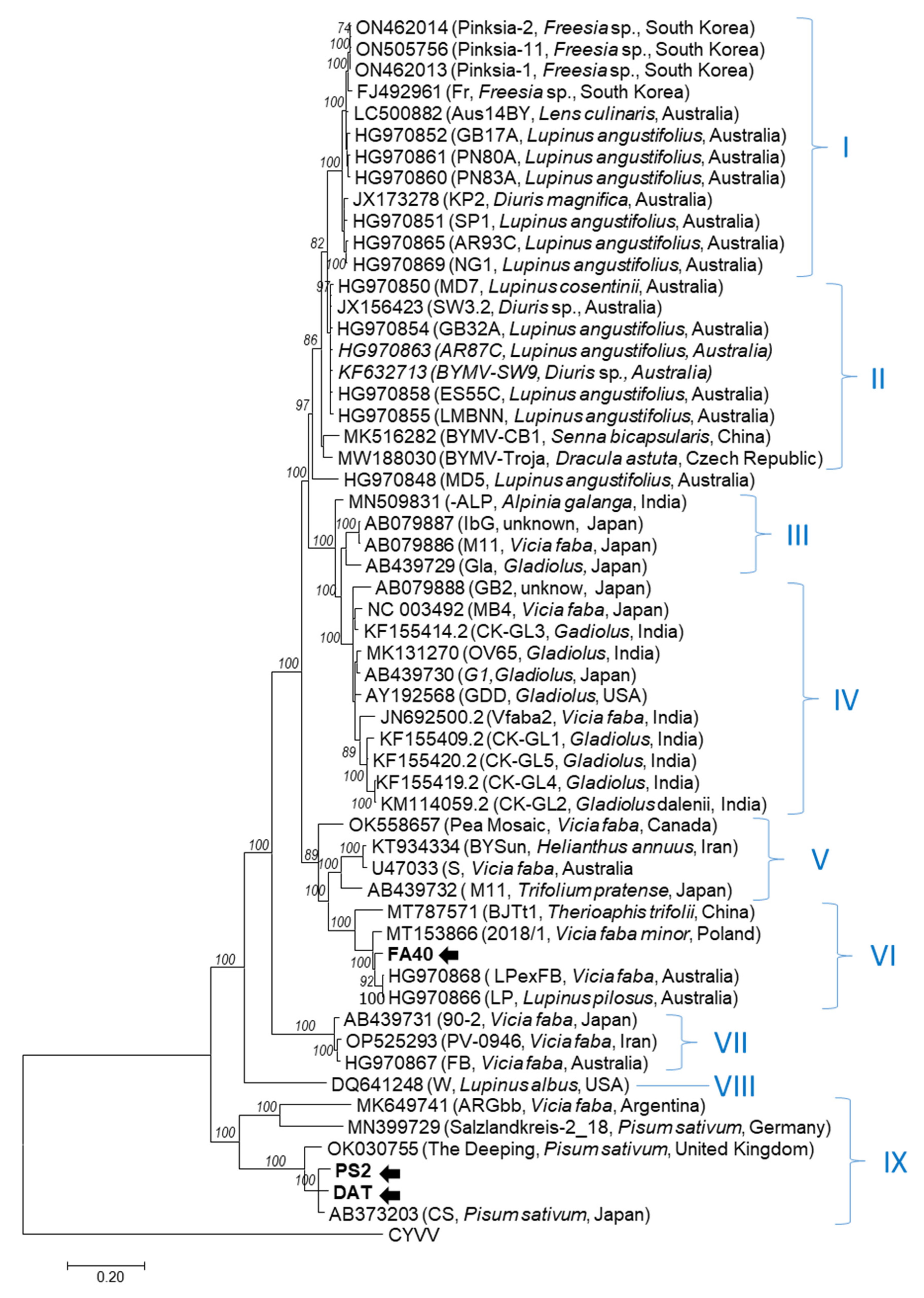 Horticulturae 10 00262 g002