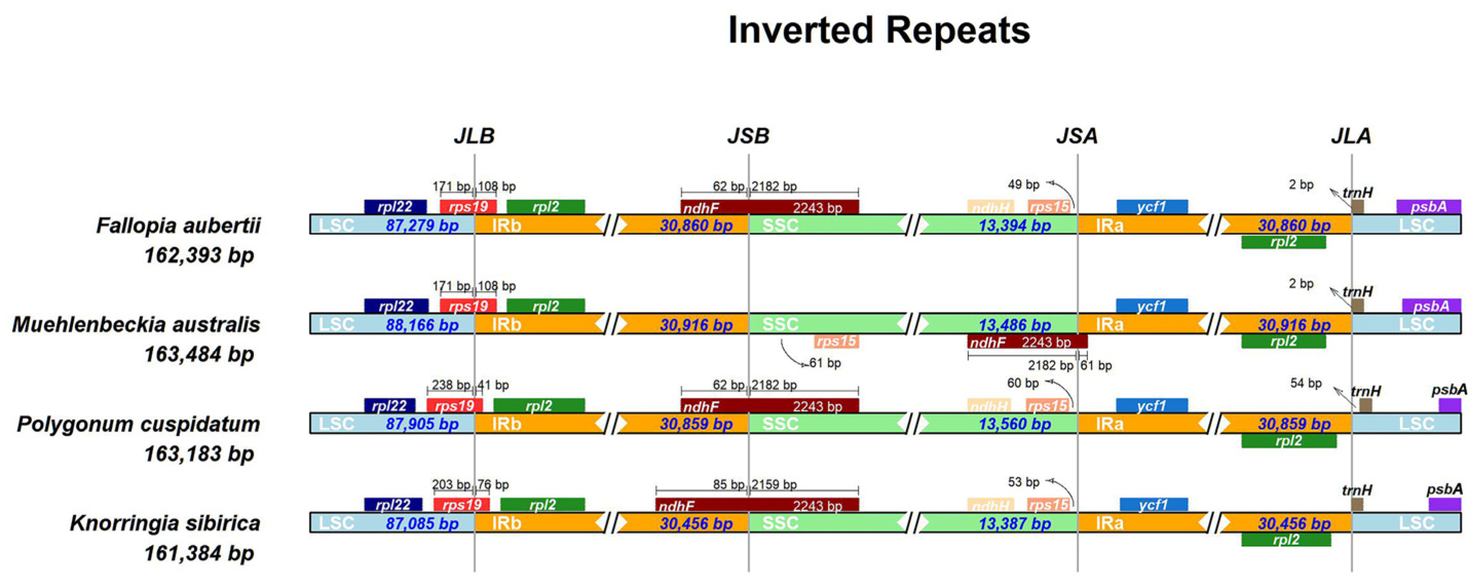 Horticulturae 10 00268 g004 Horticulturae 10 00268 g004
