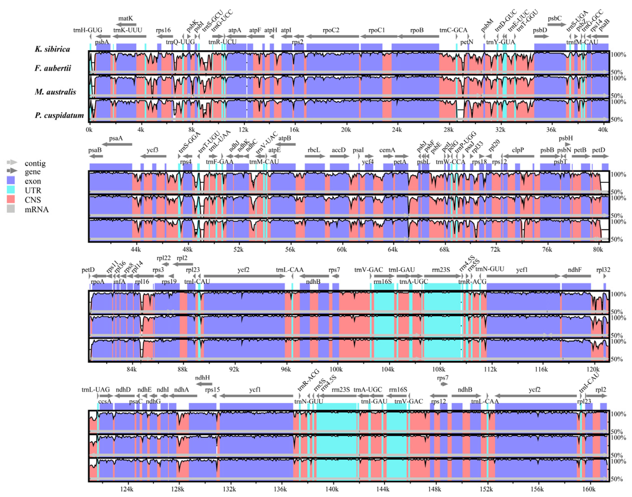 Horticulturae 10 00268 g005 Horticulturae 10 00268 g005