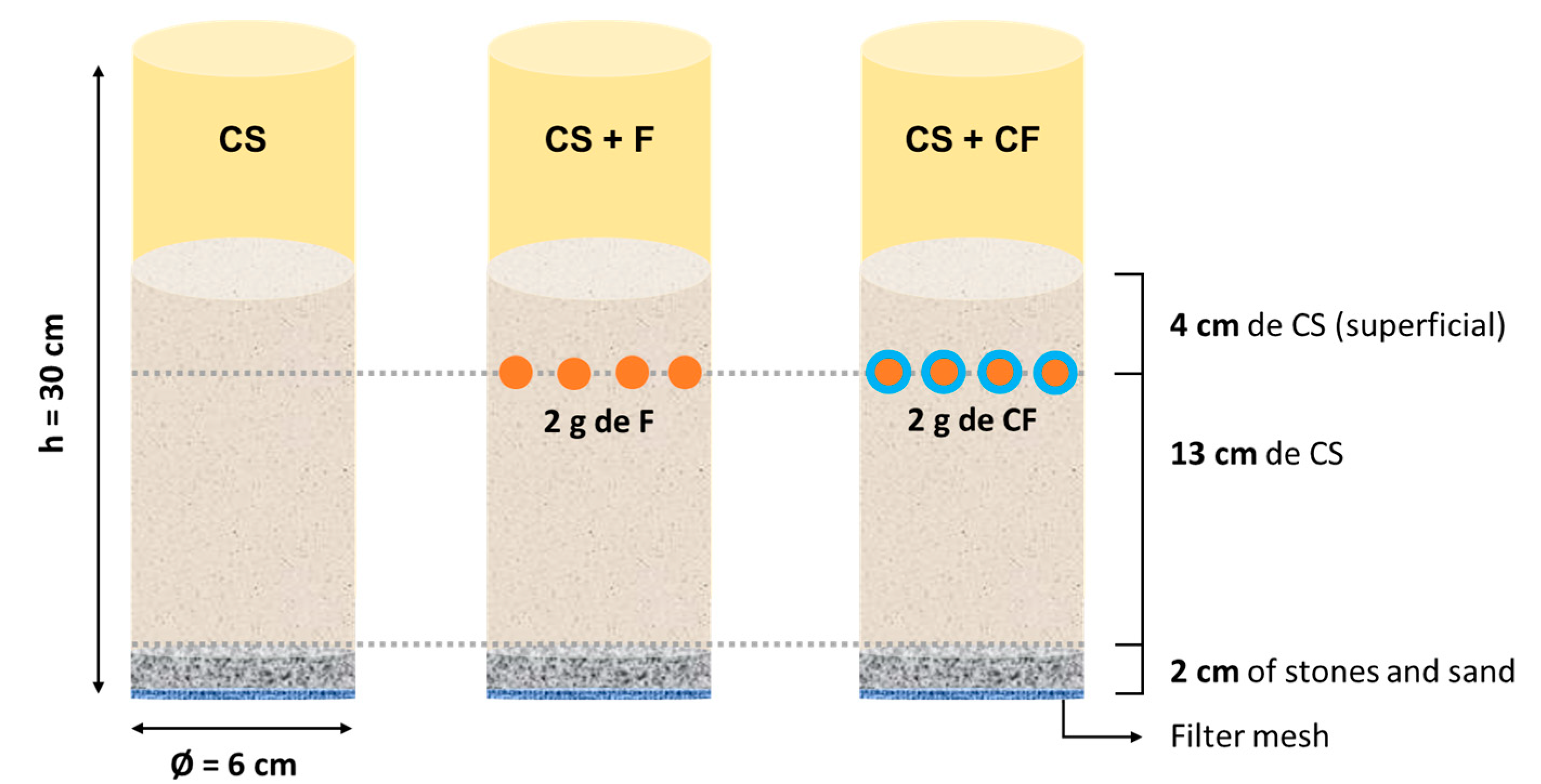 Horticulturae 10 00273 g003