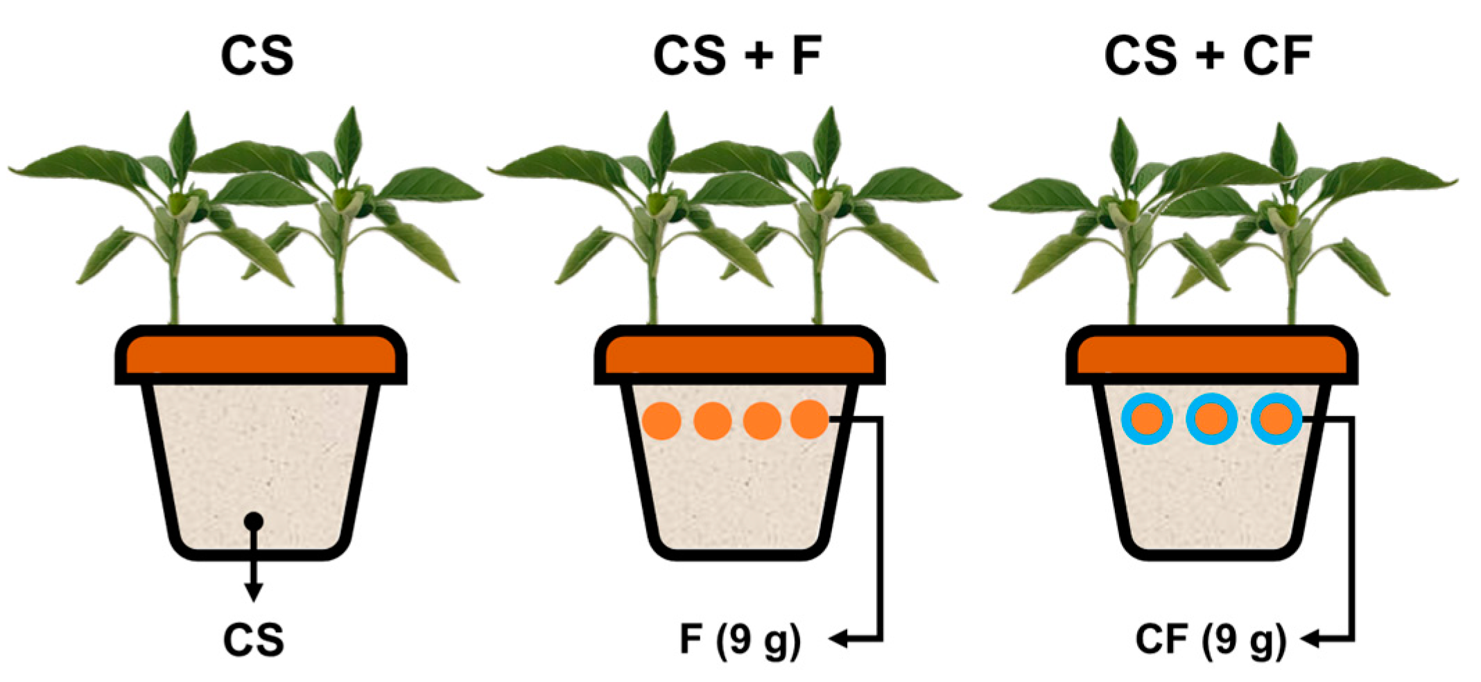 Horticulturae 10 00273 g004