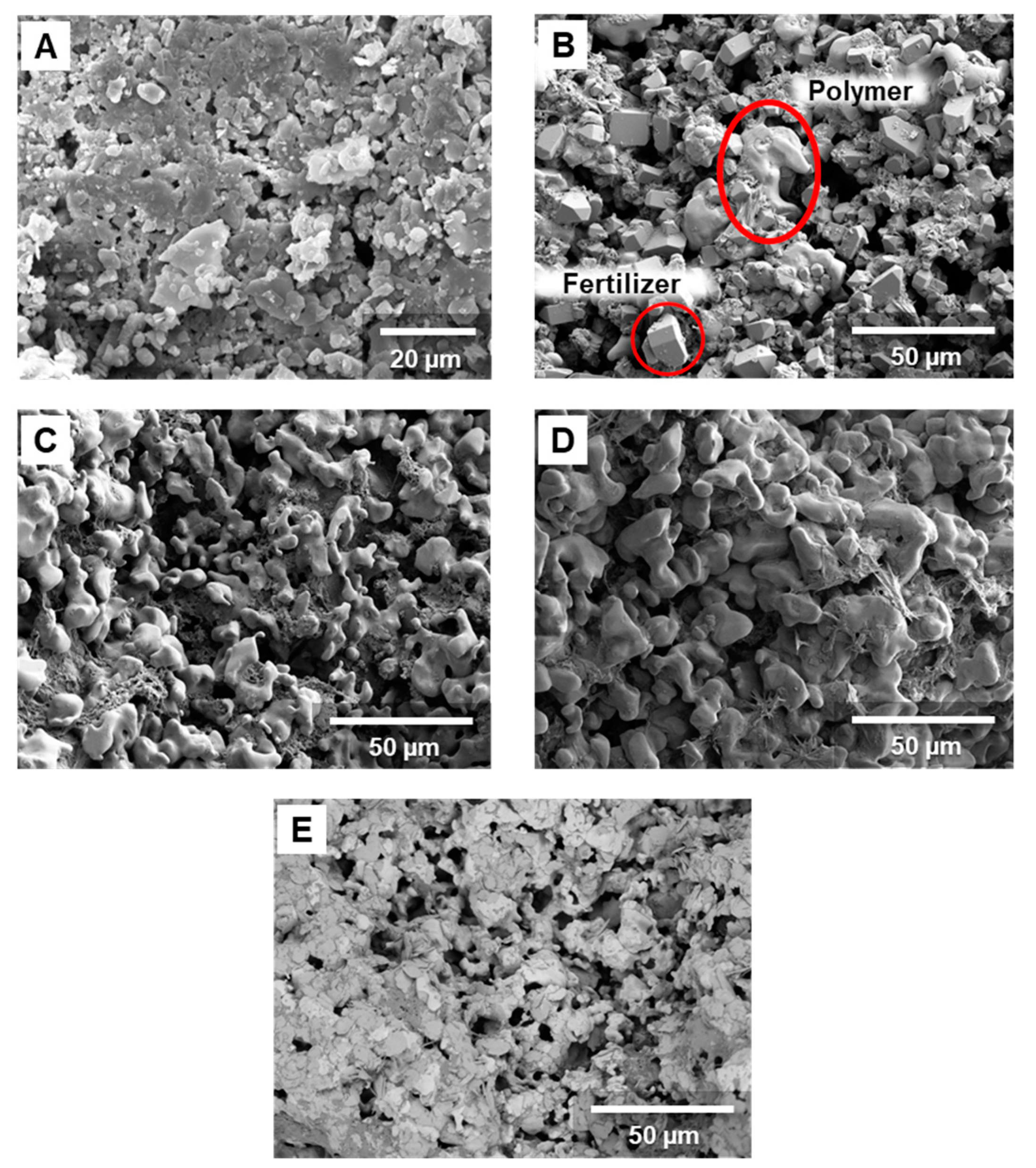 Horticulturae 10 00273 g005