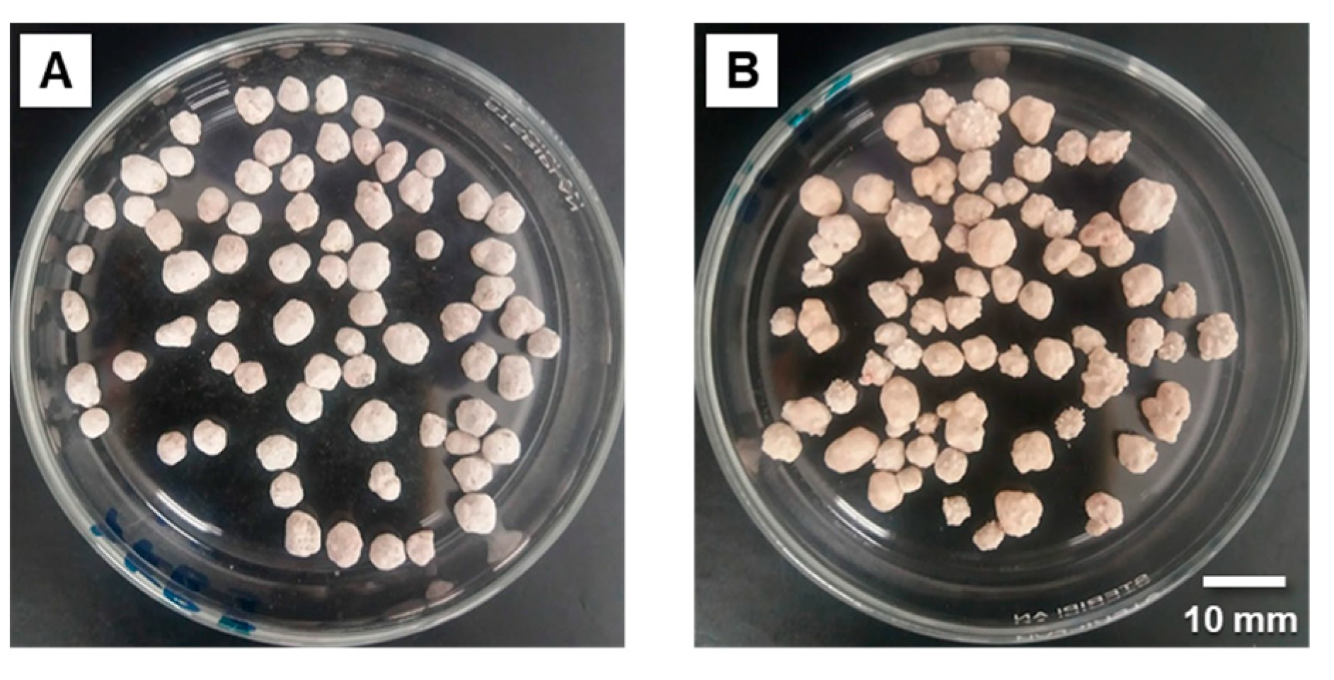 Horticulturae 10 00273 g006