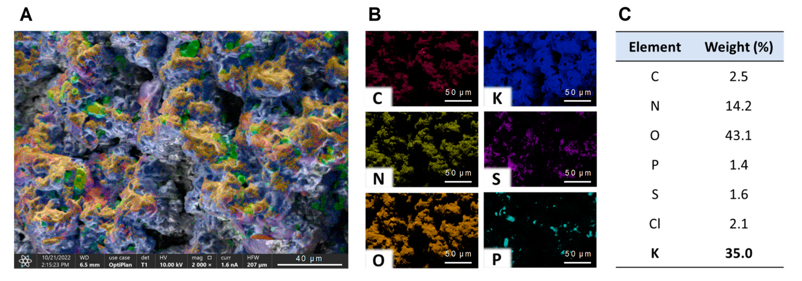 Horticulturae 10 00273 g008