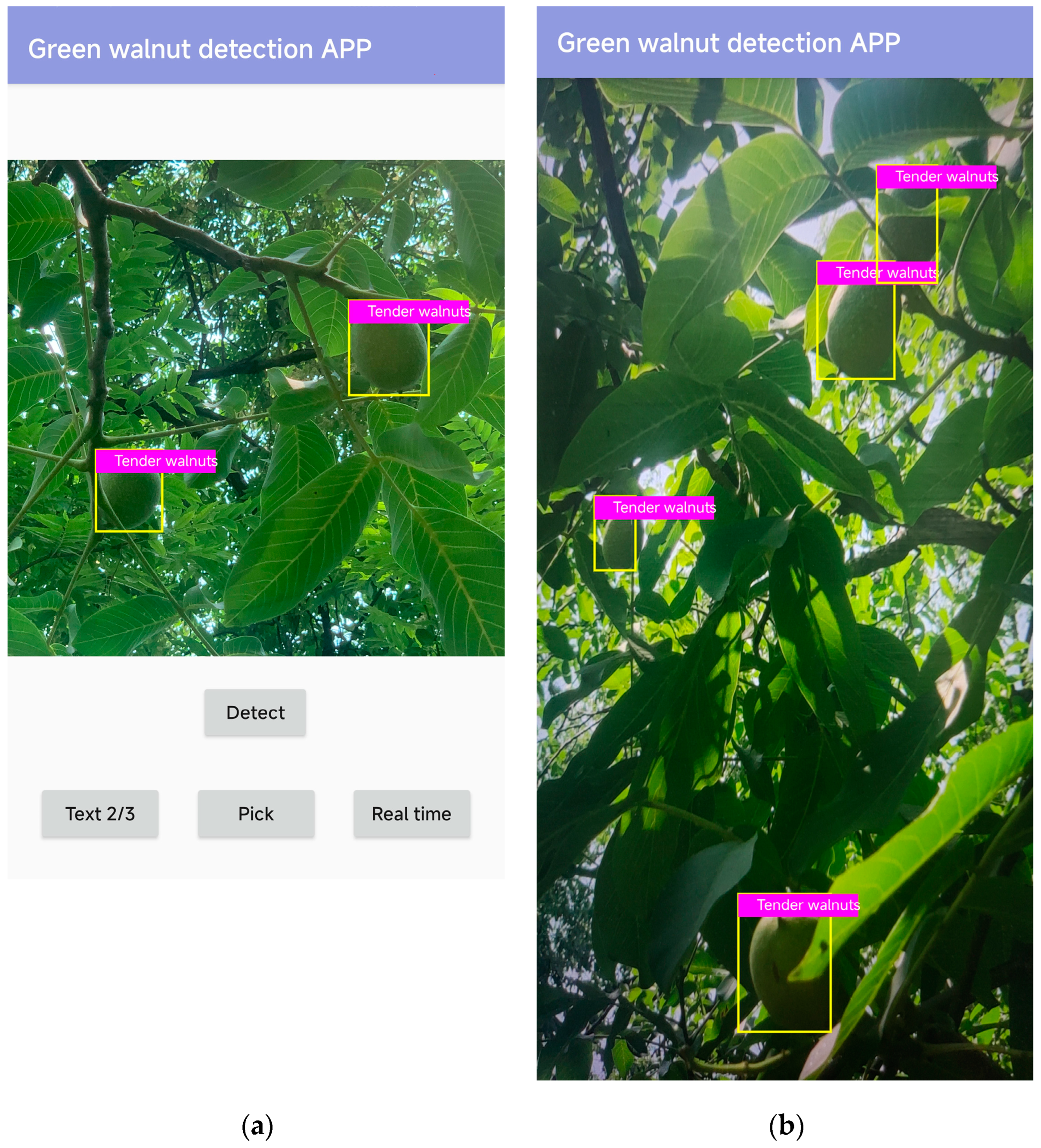 Horticulturae 10 00275 g012a