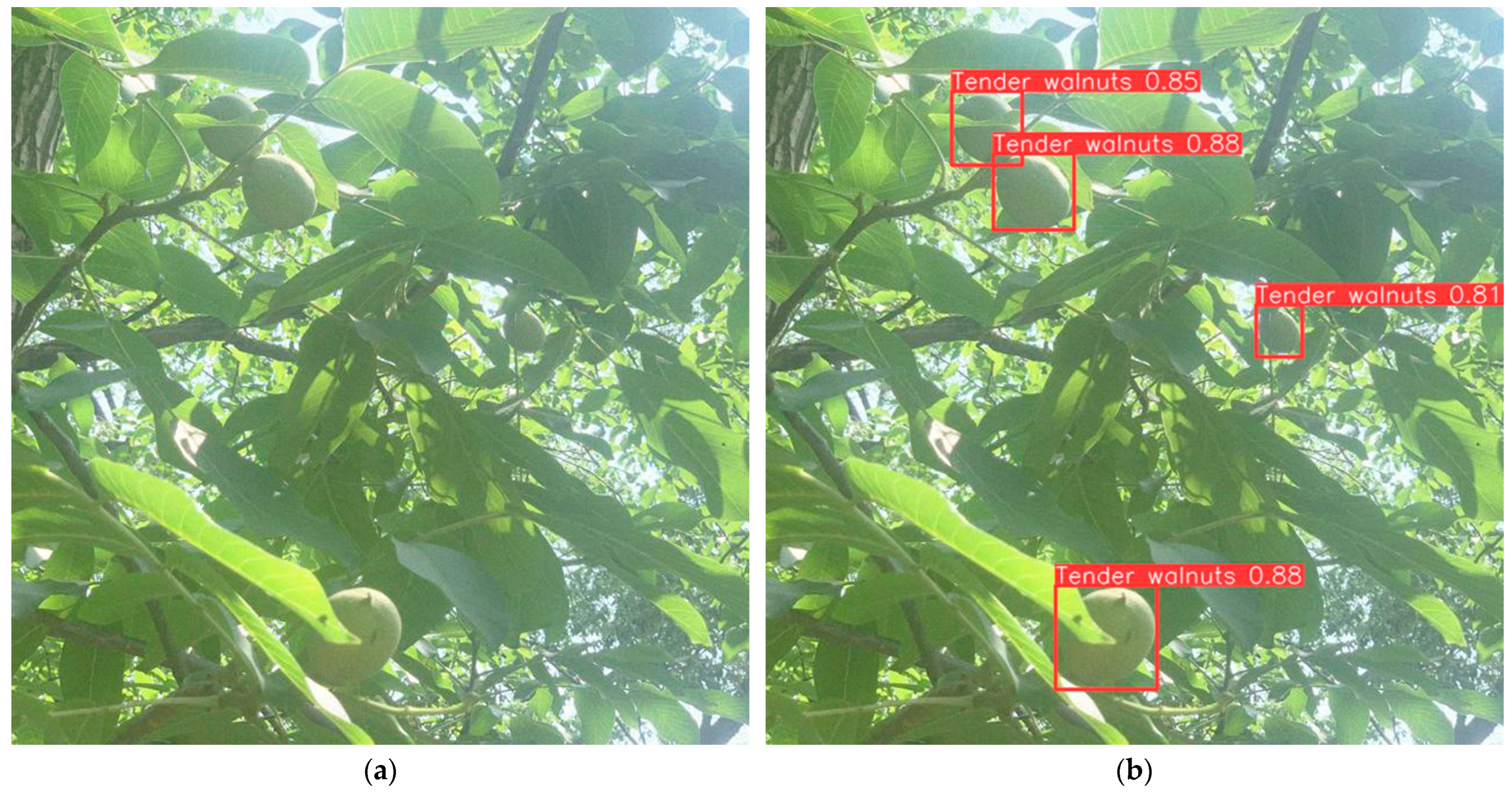 Horticulturae 10 00275 g013a