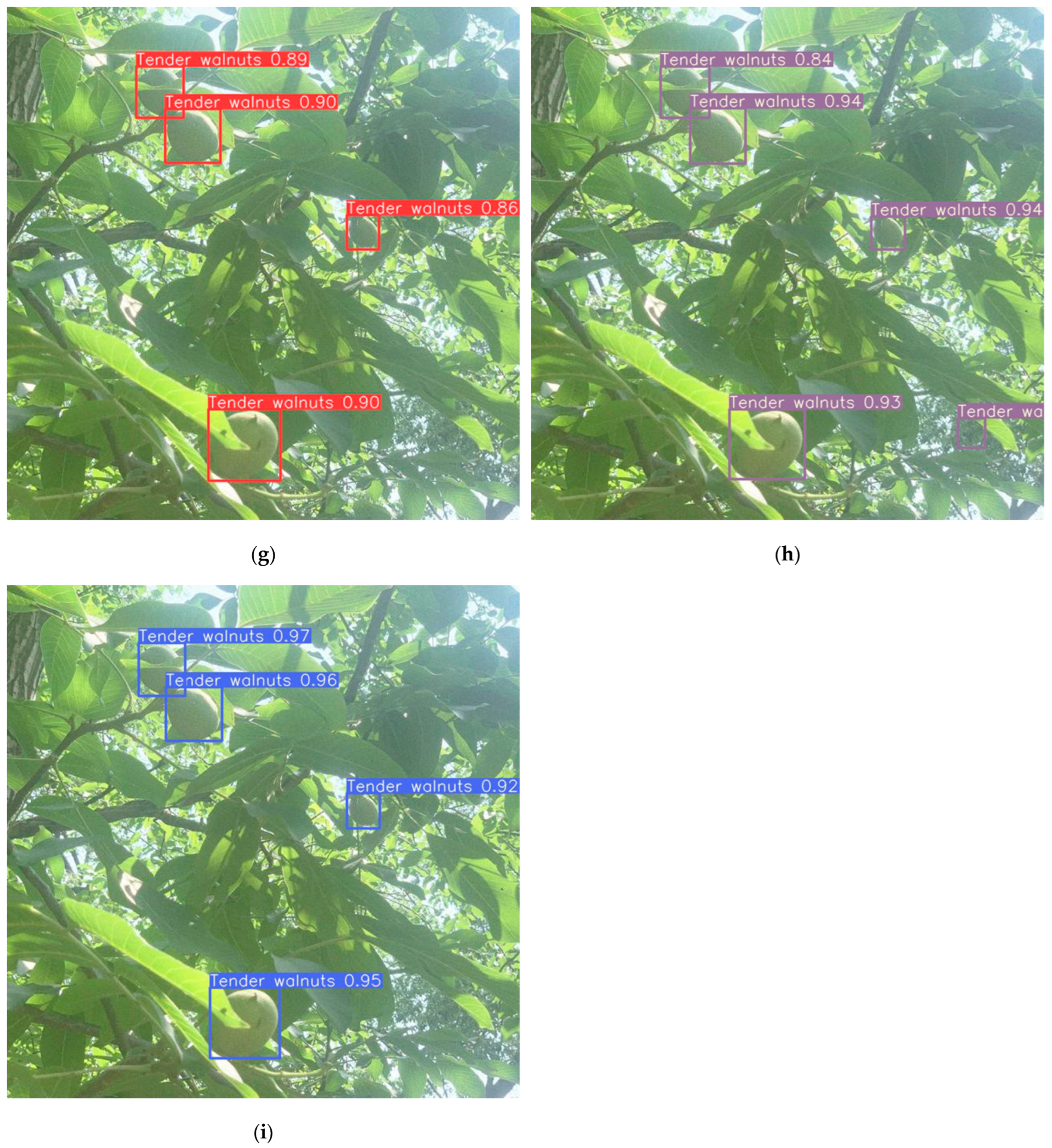 Horticulturae 10 00275 g013c