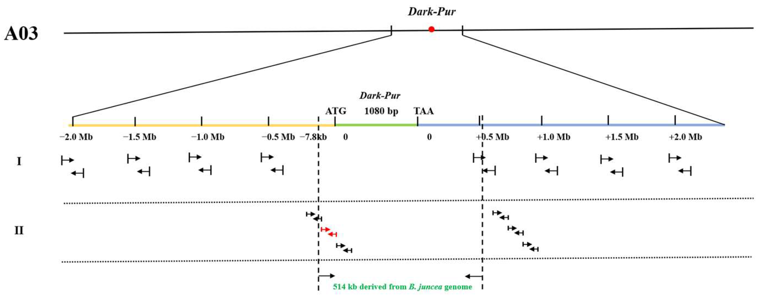 Horticulturae 10 00276 g005