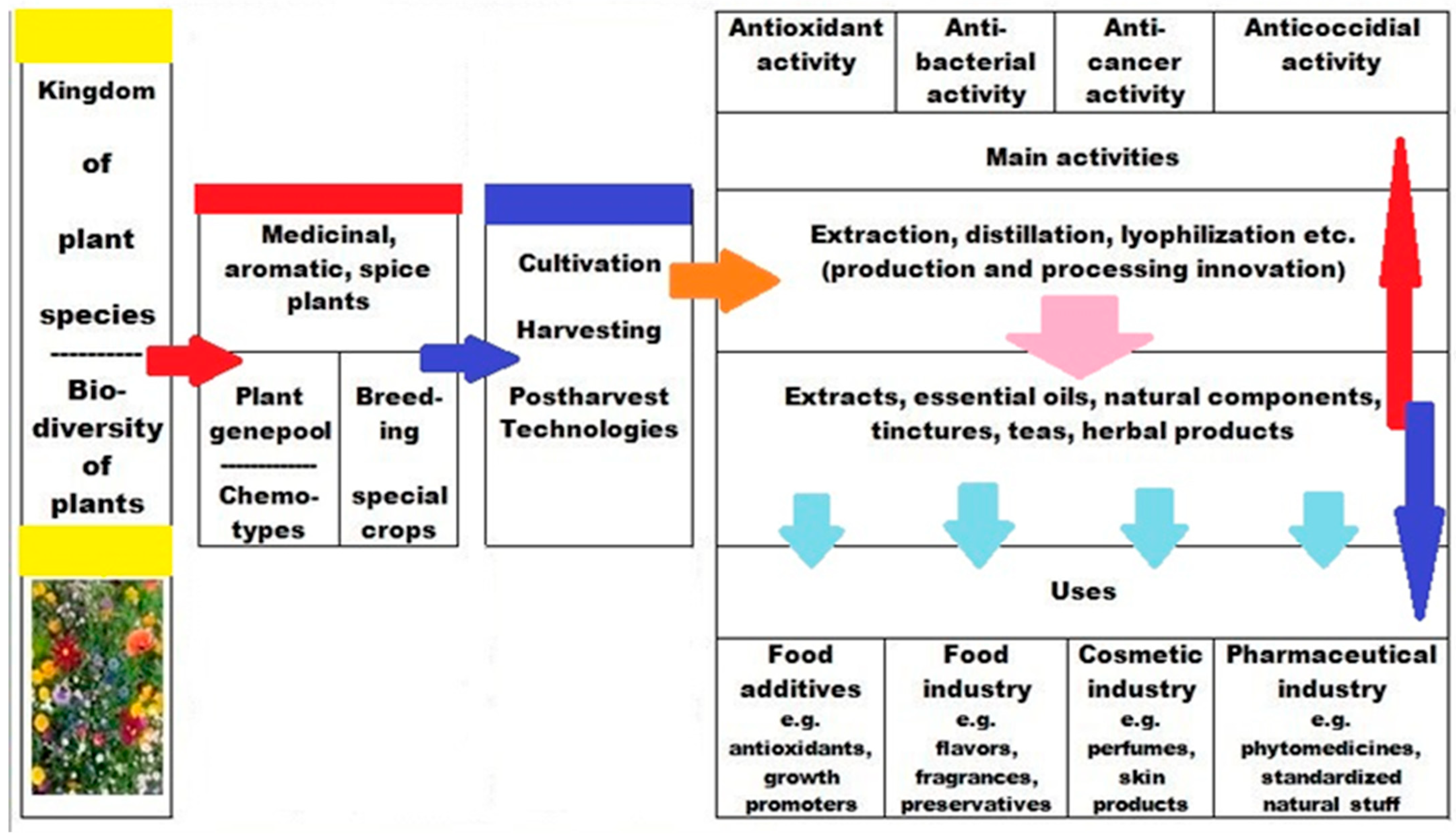 Horticulturae 10 00280 g001