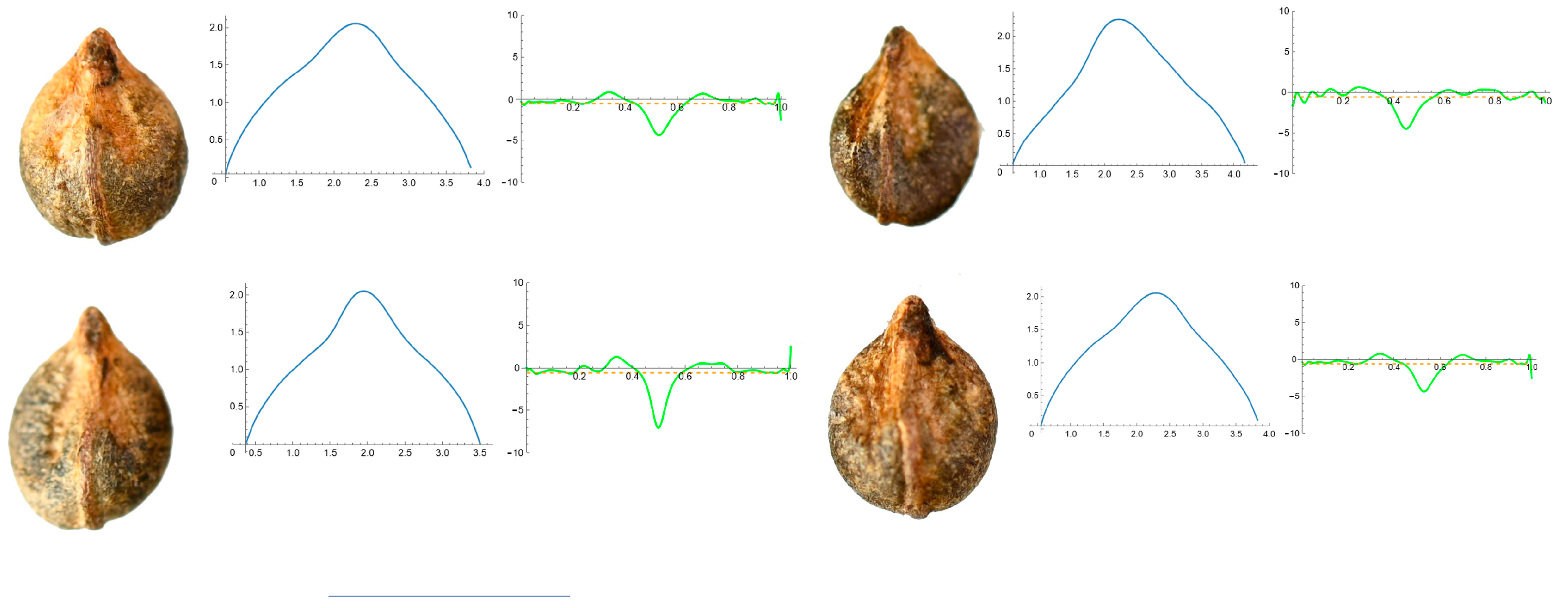Horticulturae 10 00285 g004