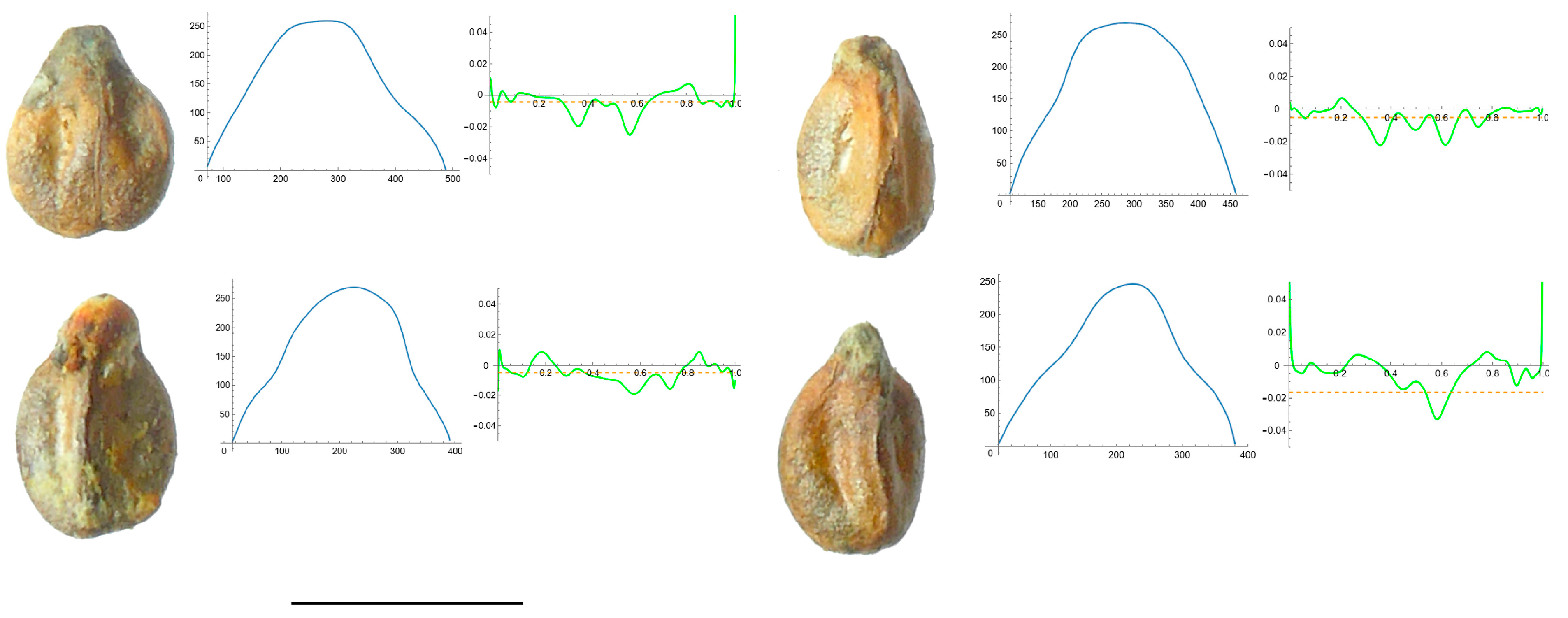 Horticulturae 10 00285 g006