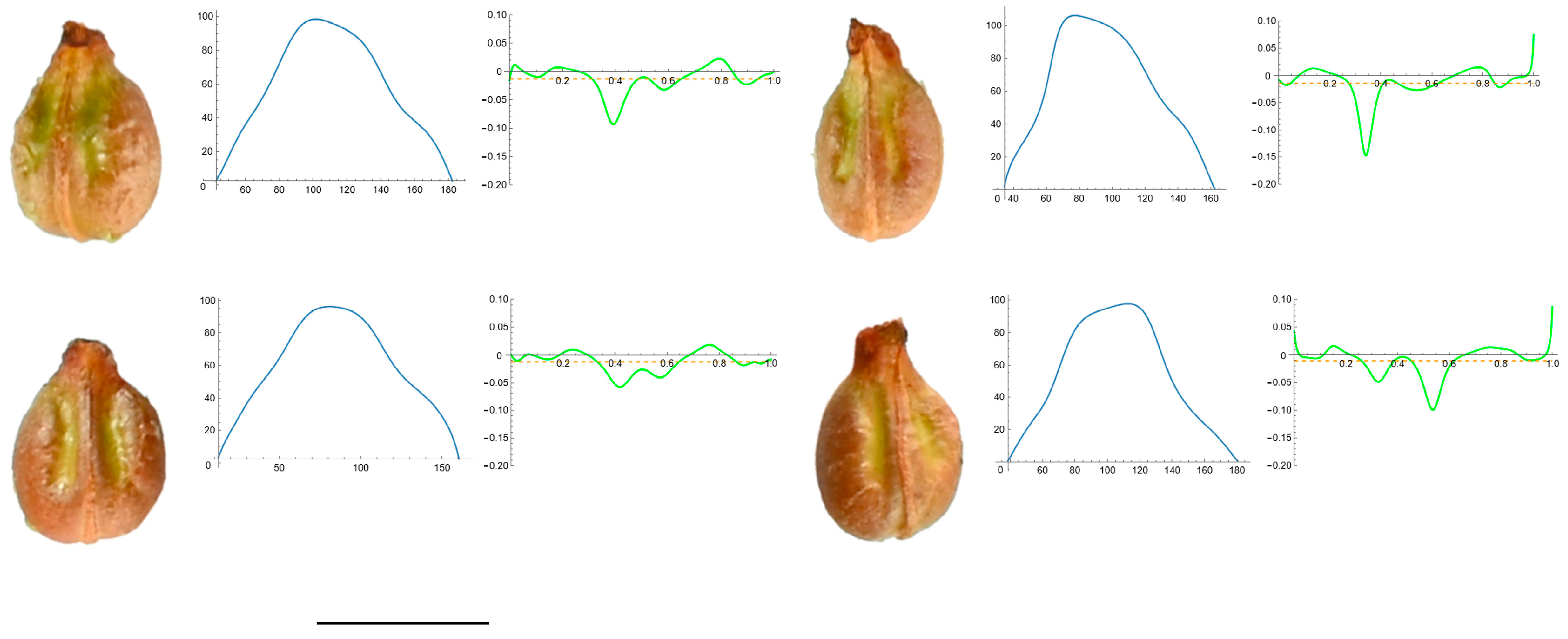 Horticulturae 10 00285 g007