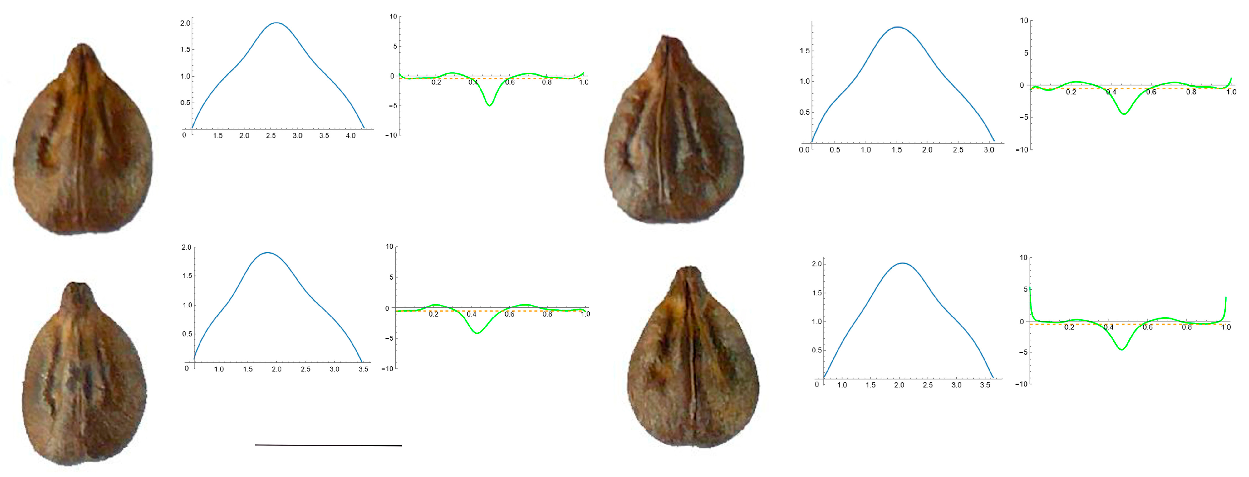 Horticulturae 10 00285 g0a4