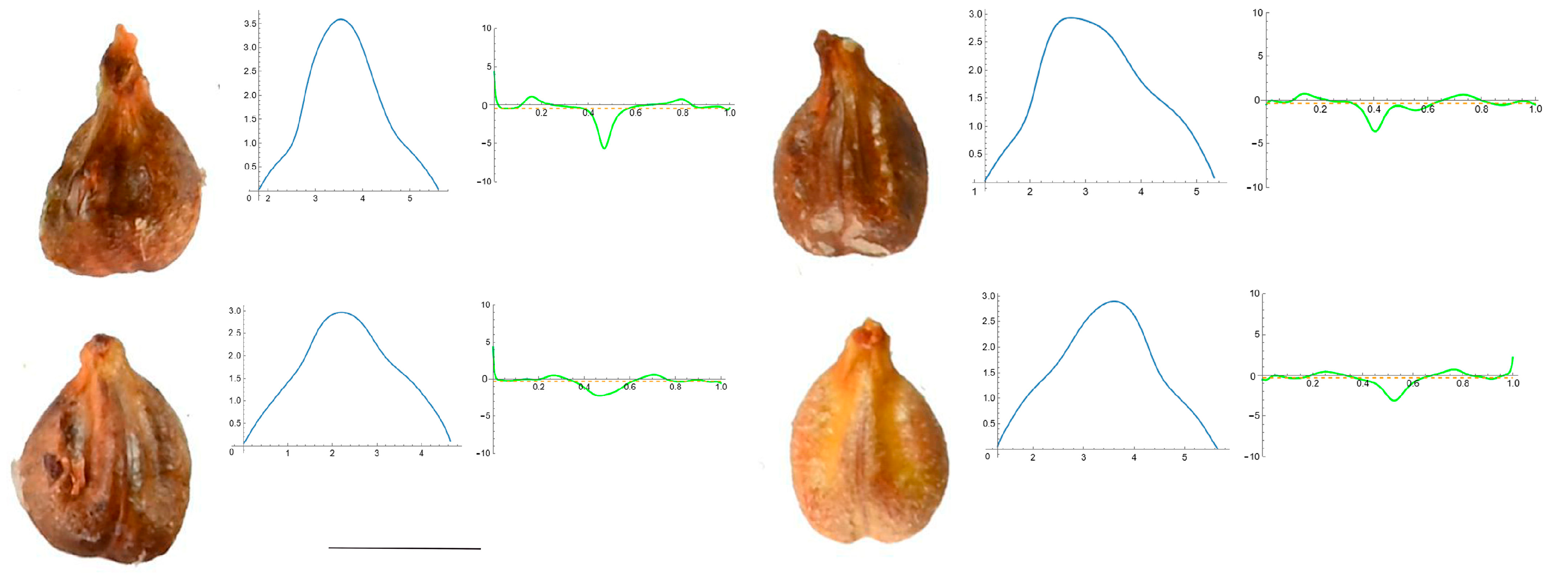 Horticulturae 10 00285 g0a5