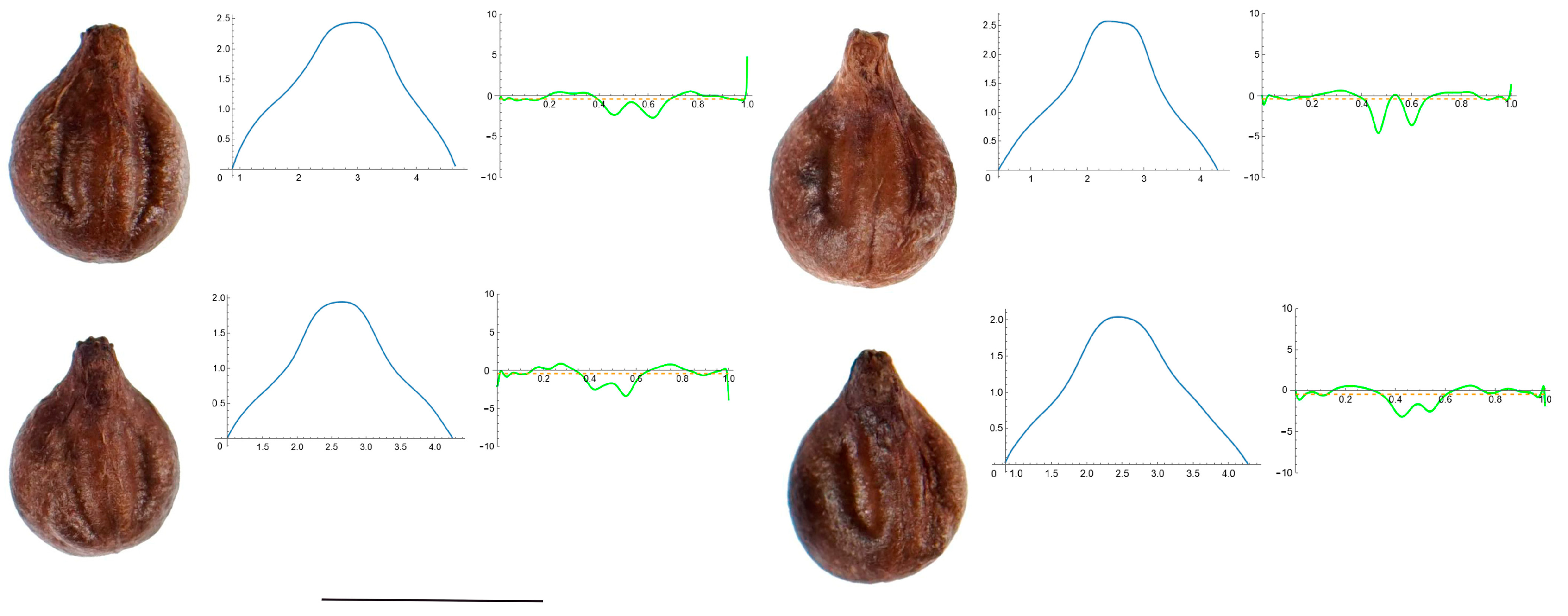 Horticulturae 10 00285 g0a8