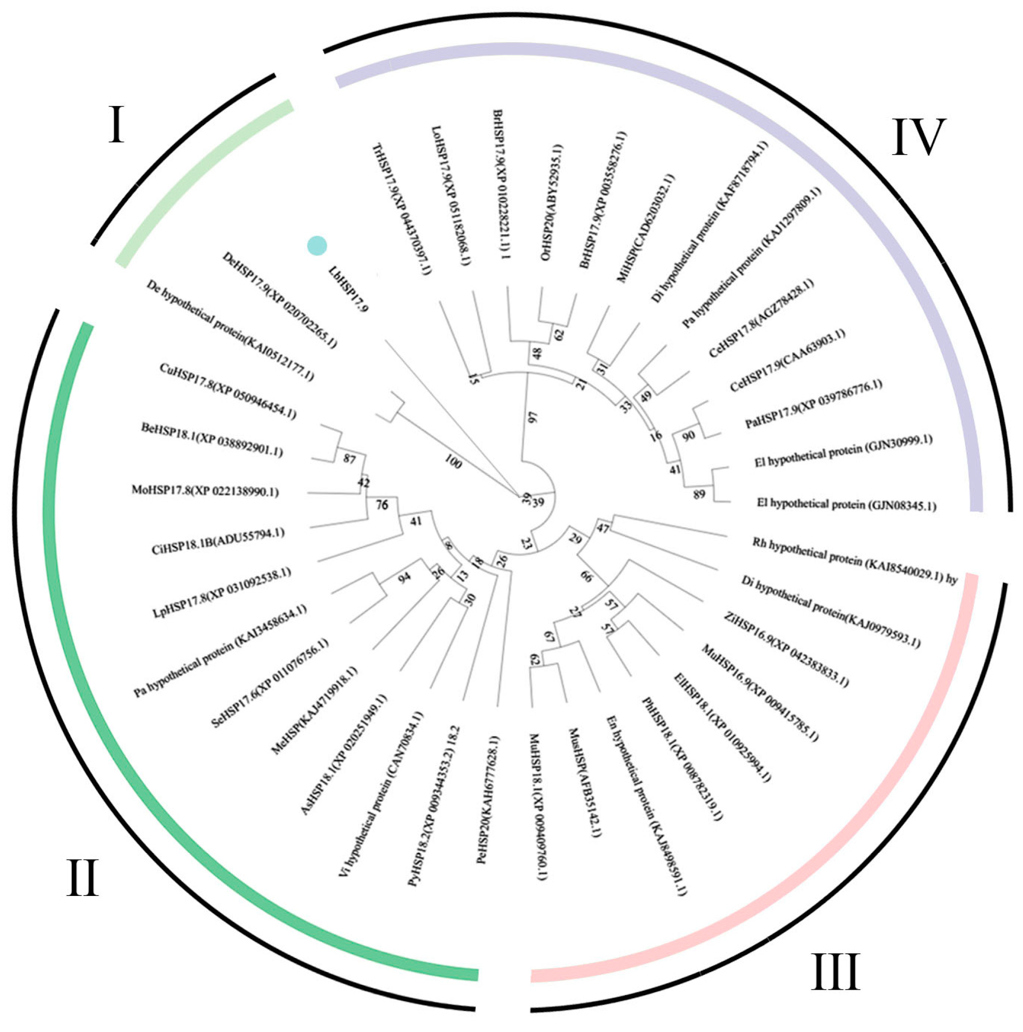 Horticulturae 10 00287 g005
