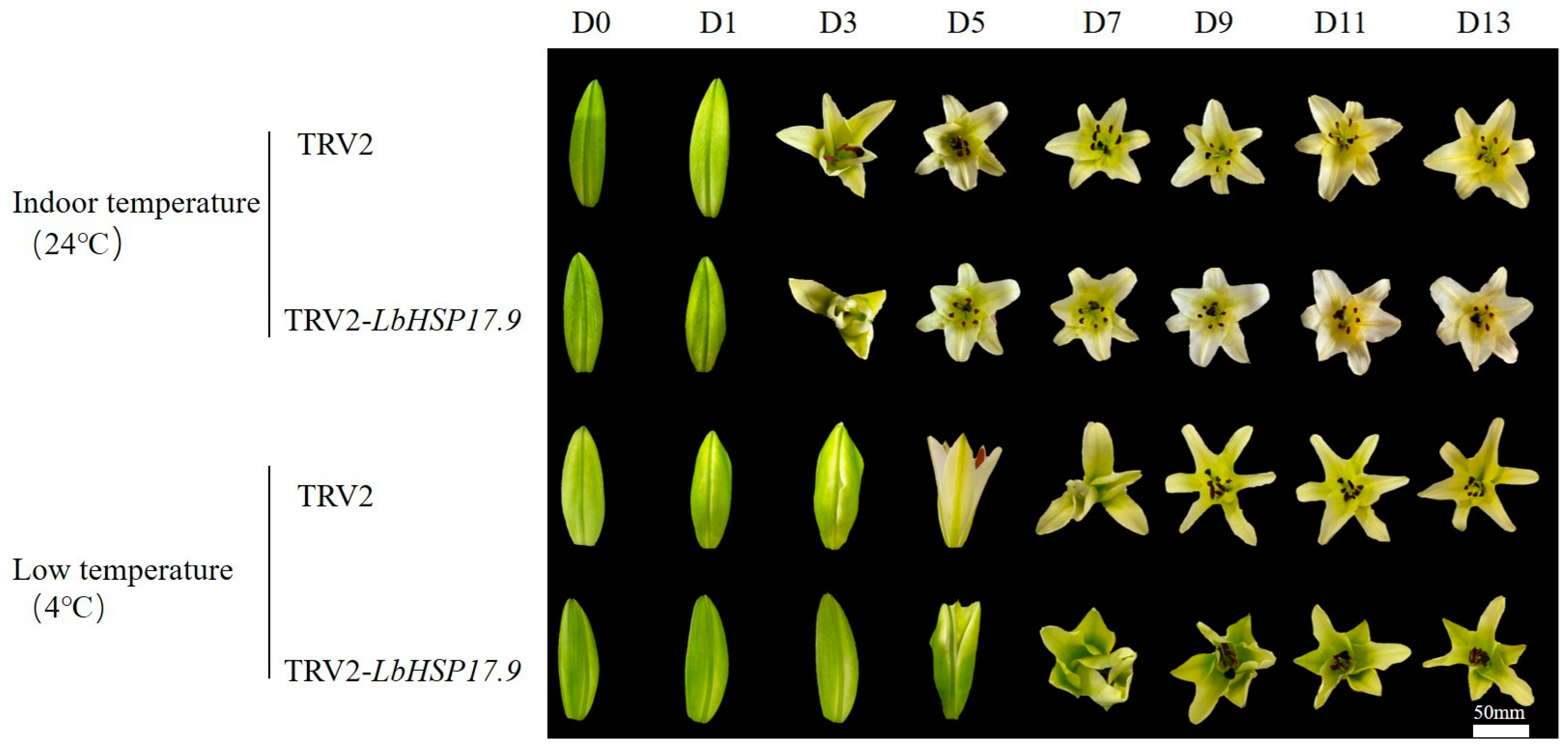 Horticulturae 10 00287 g007