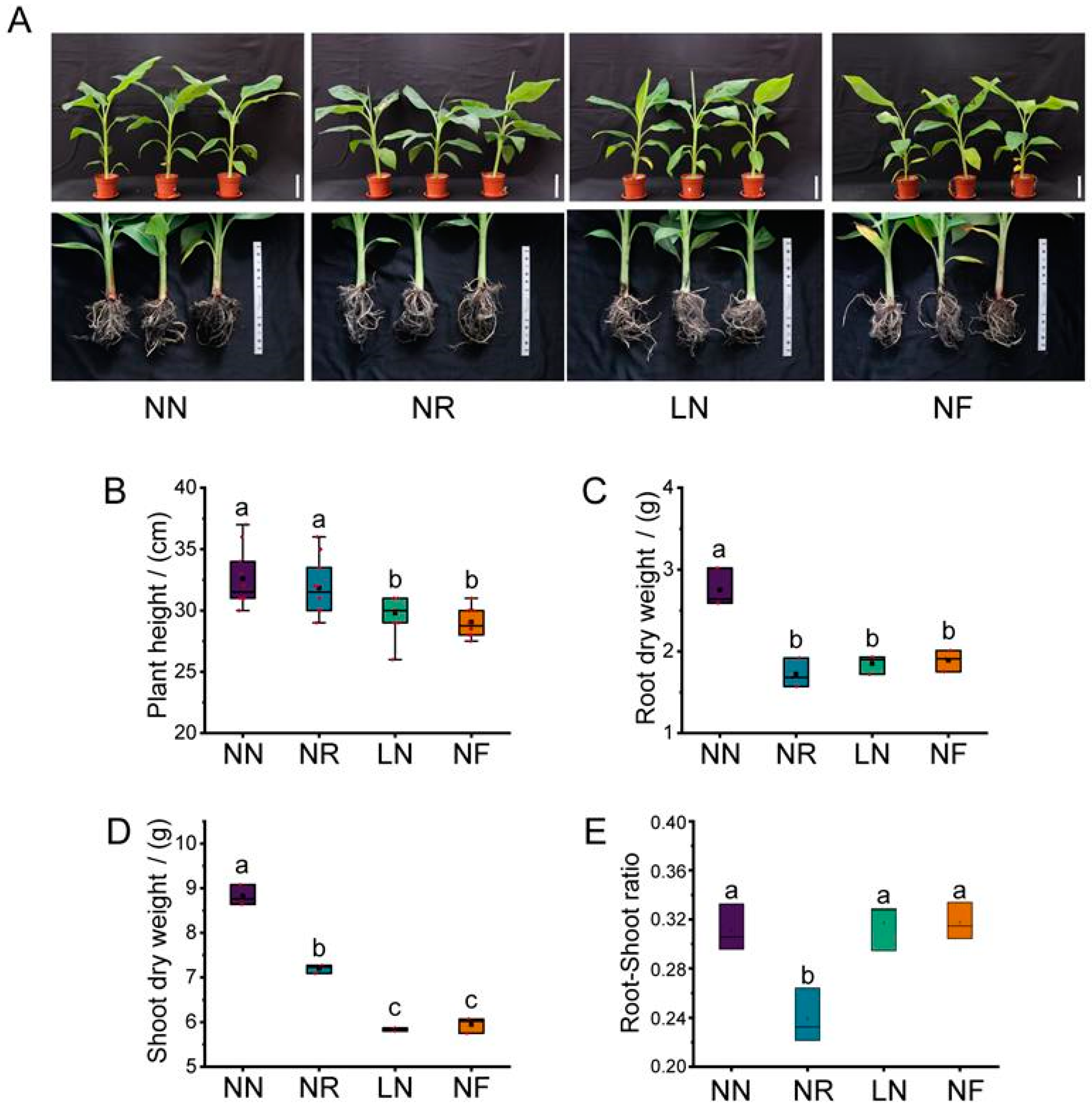 Horticulturae 10 00290 g001