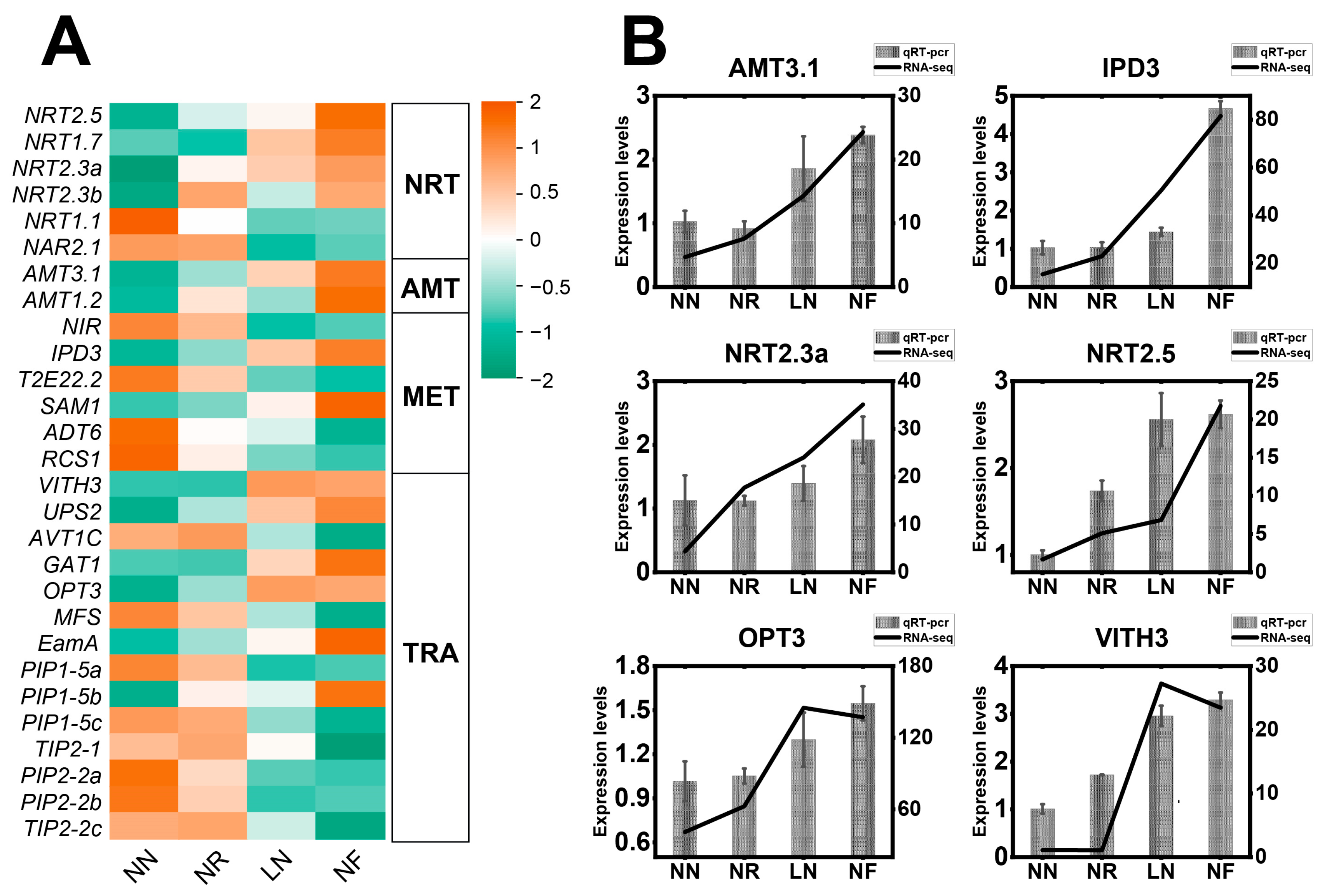 Horticulturae 10 00290 g005