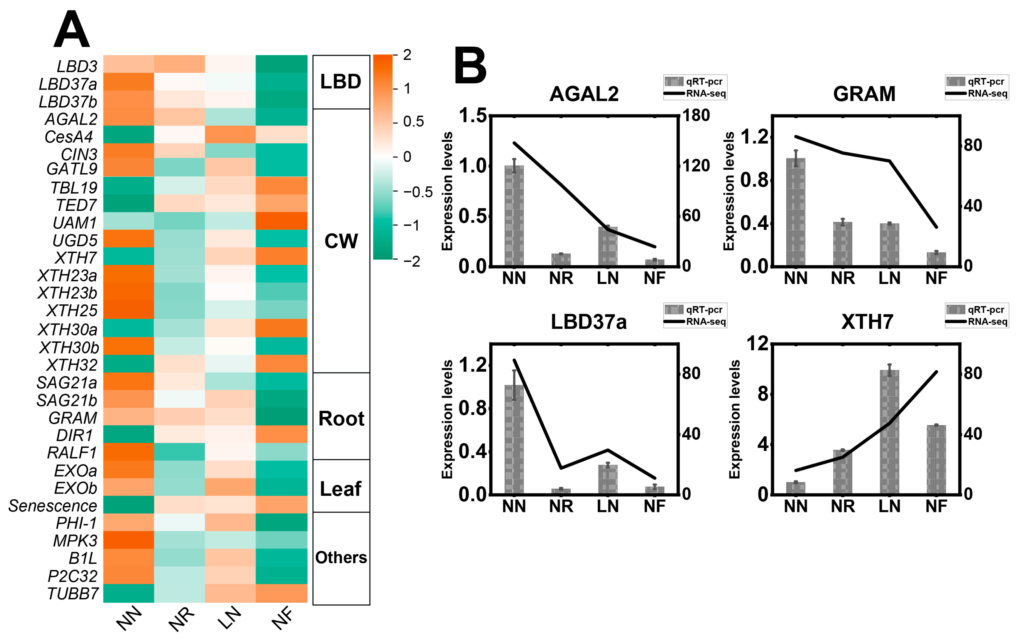 Horticulturae 10 00290 g007