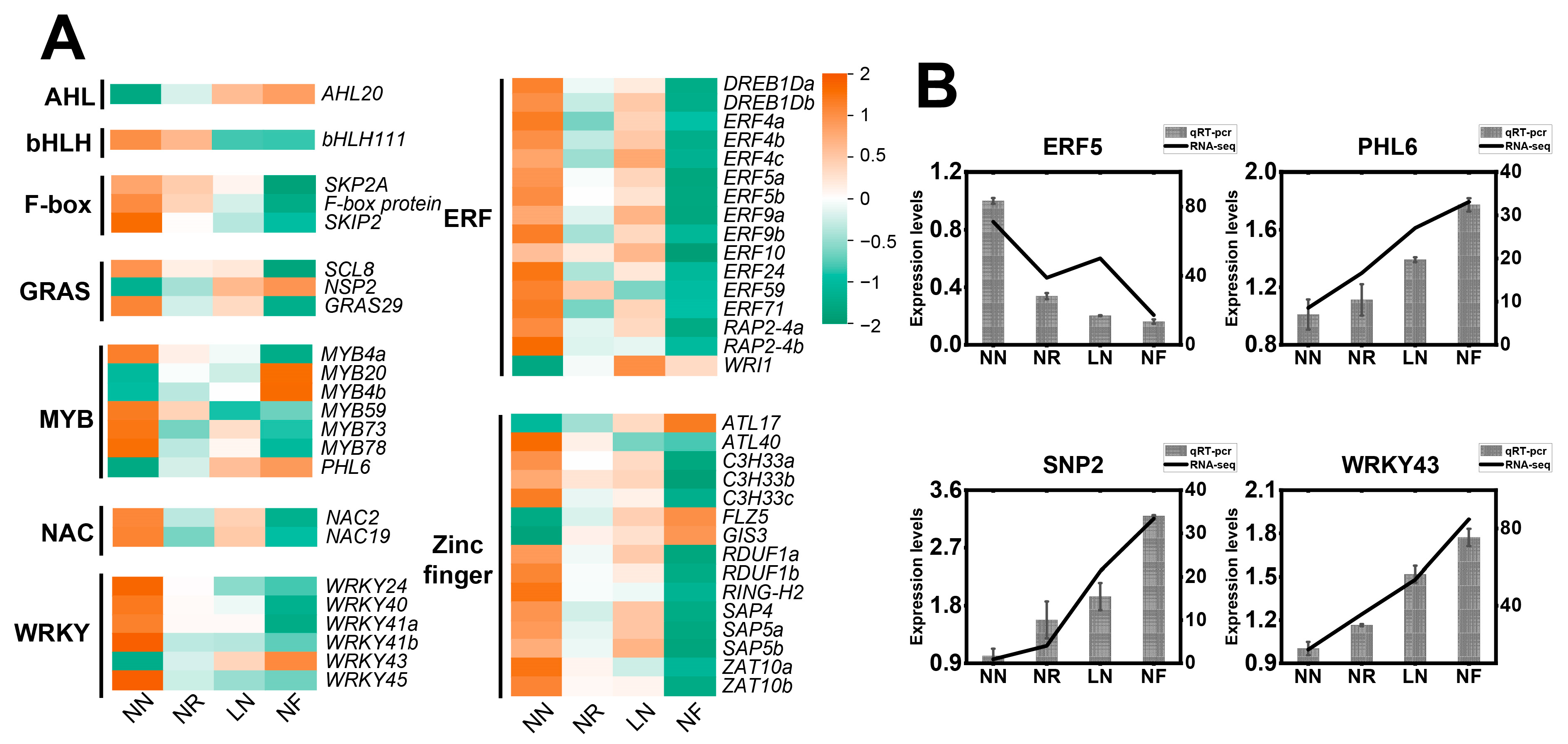 Horticulturae 10 00290 g008