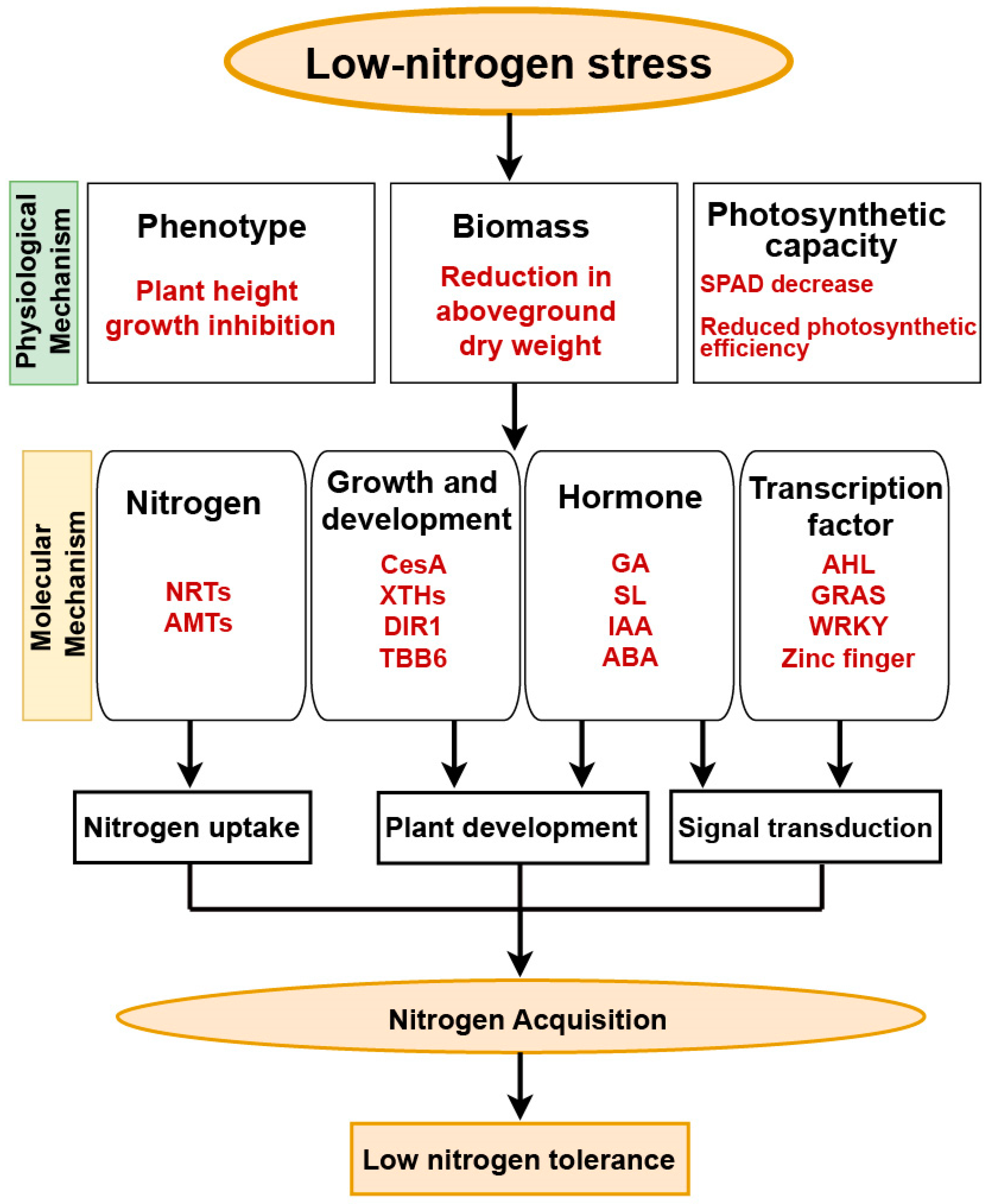Horticulturae 10 00290 g009