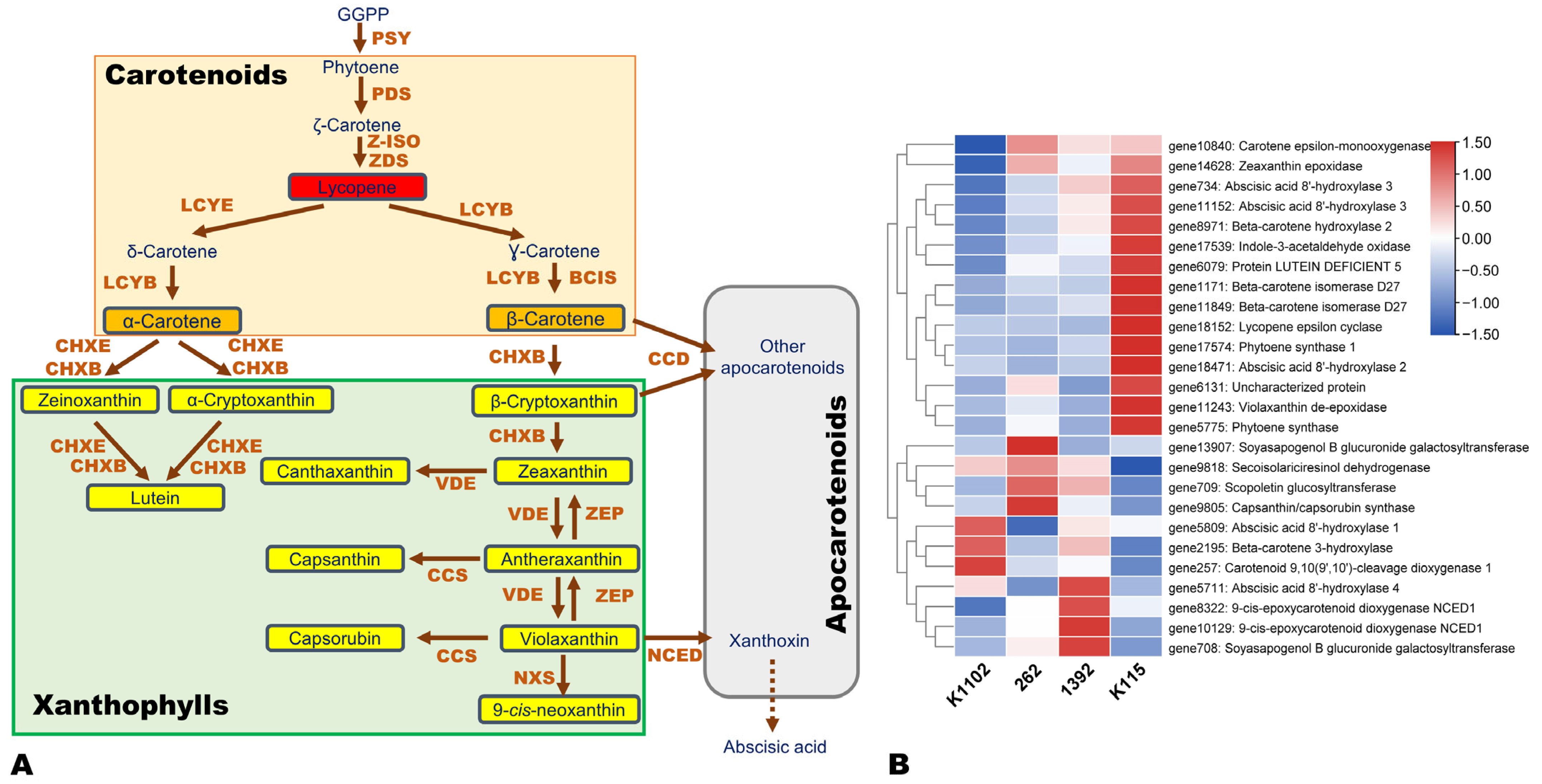 Horticulturae 10 00291 g006