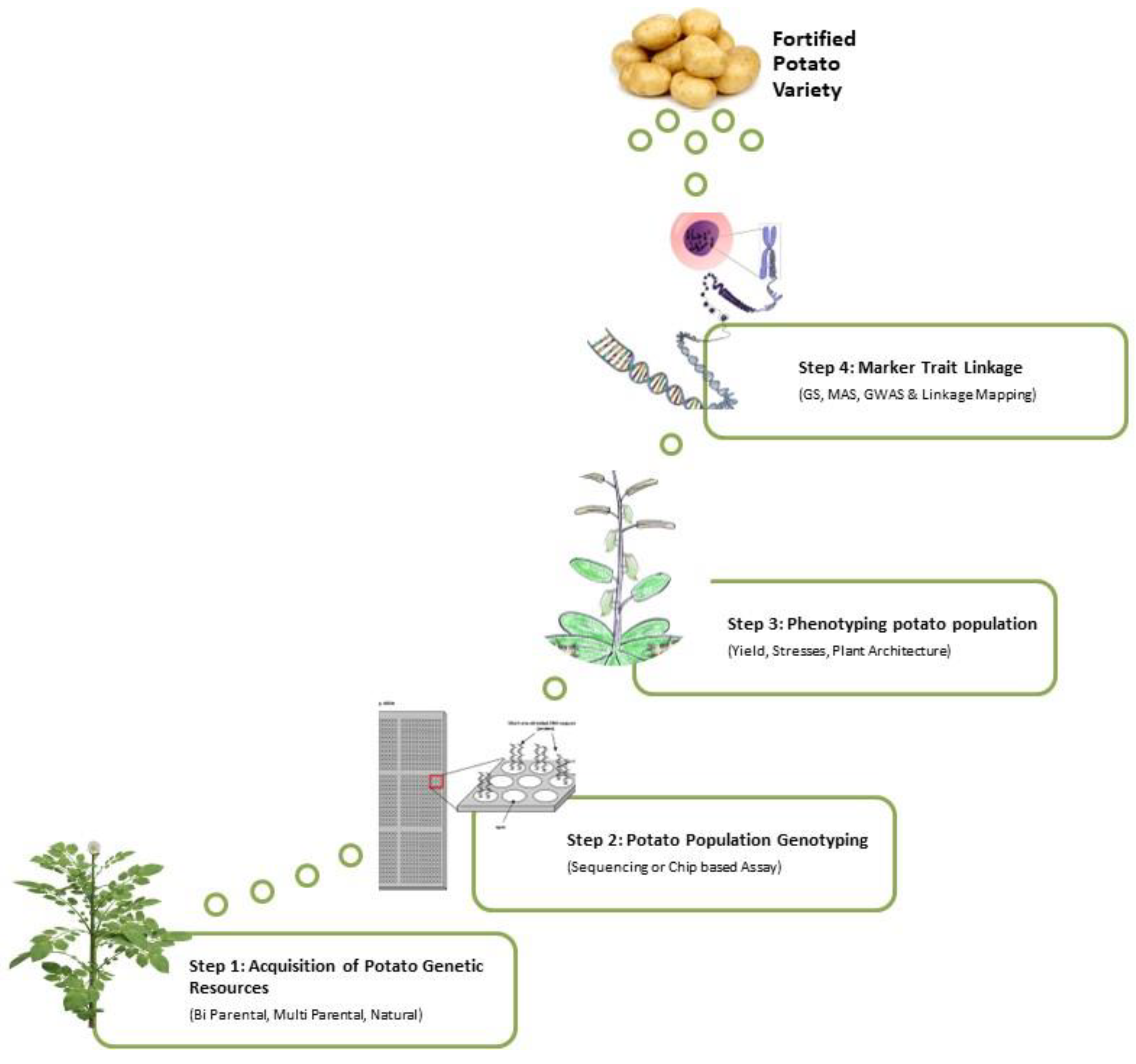 Horticulturae 10 00292 g004 Horticulturae 10 00292 g004