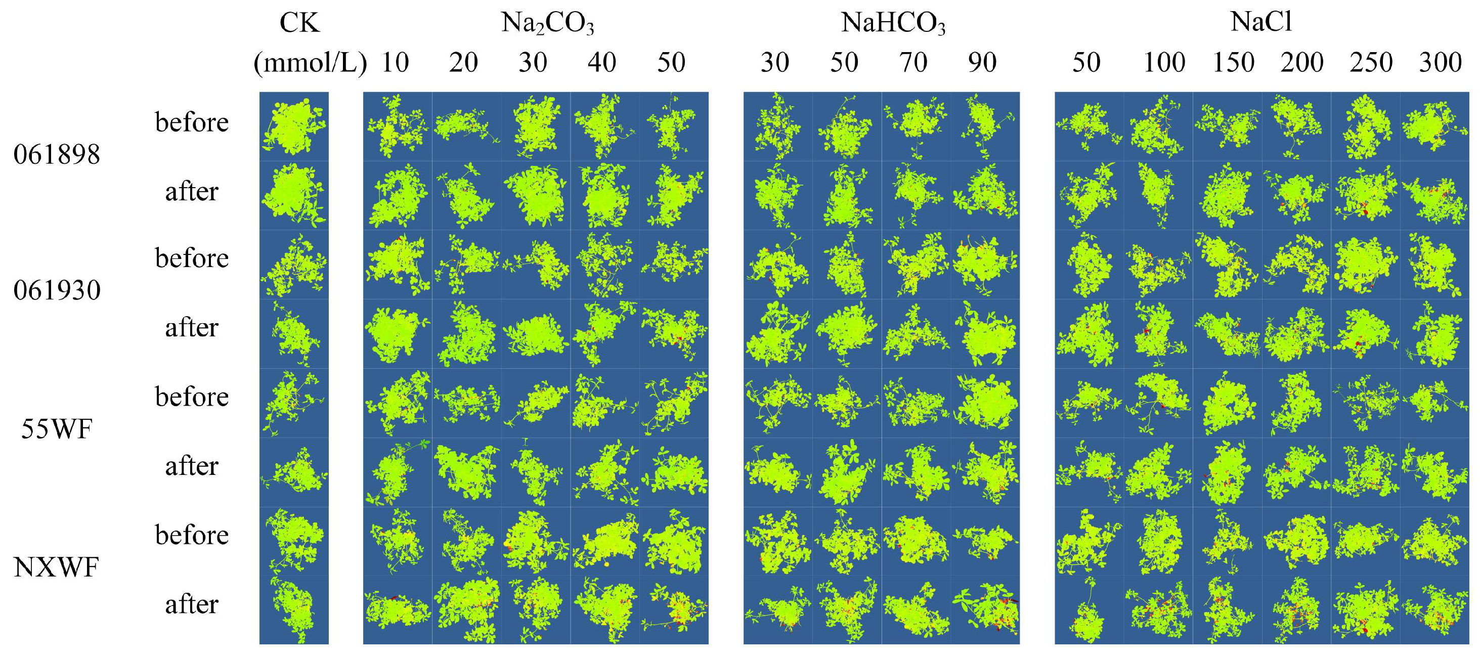 Horticulturae 10 00297 g006