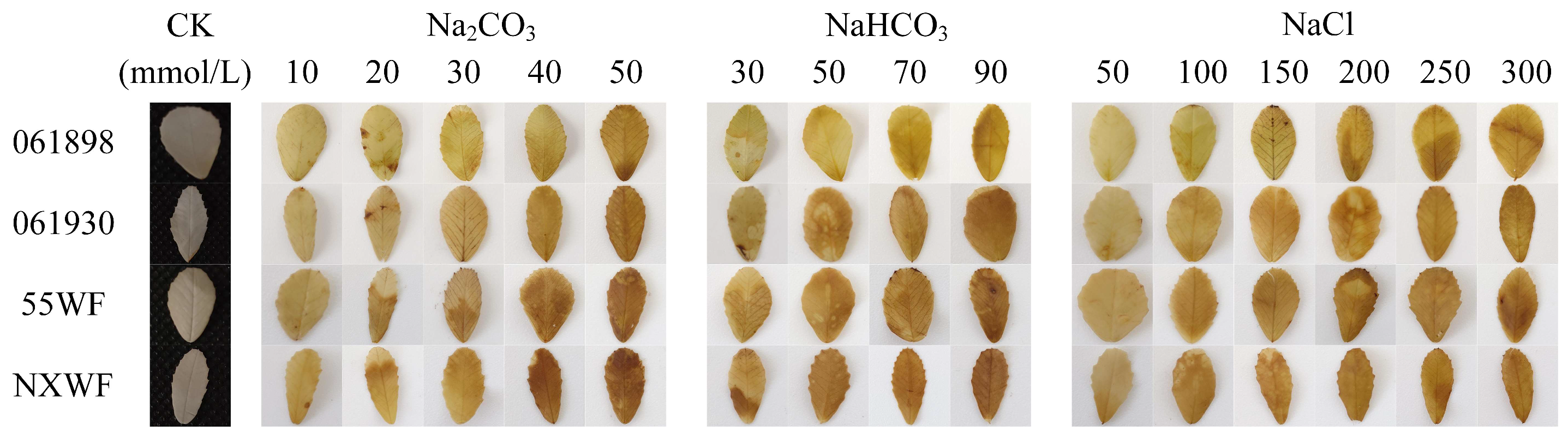 Horticulturae 10 00297 g007
