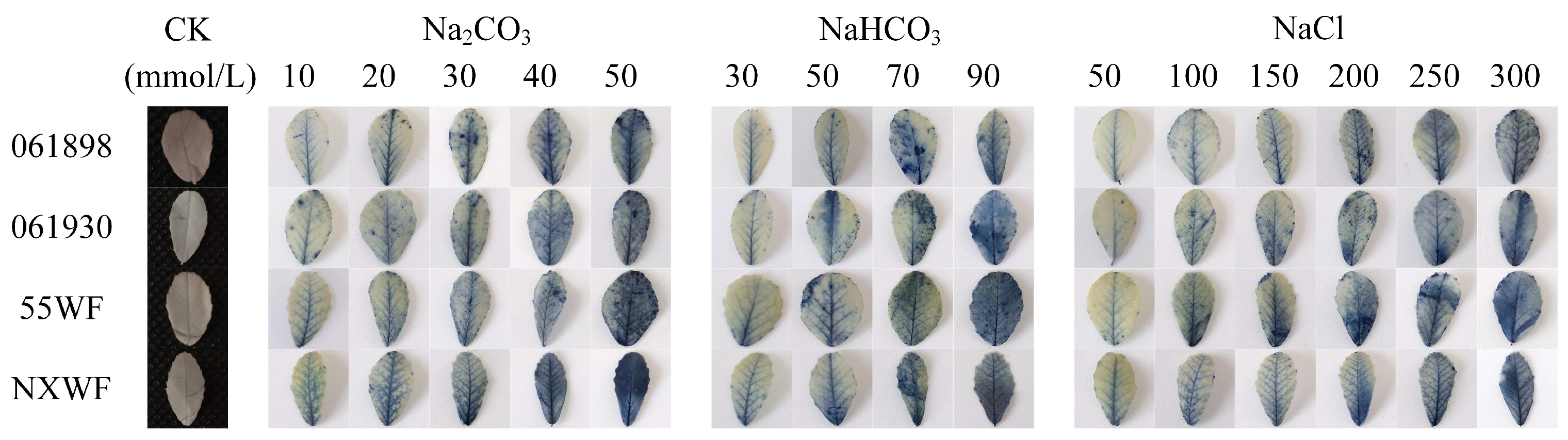 Horticulturae 10 00297 g008