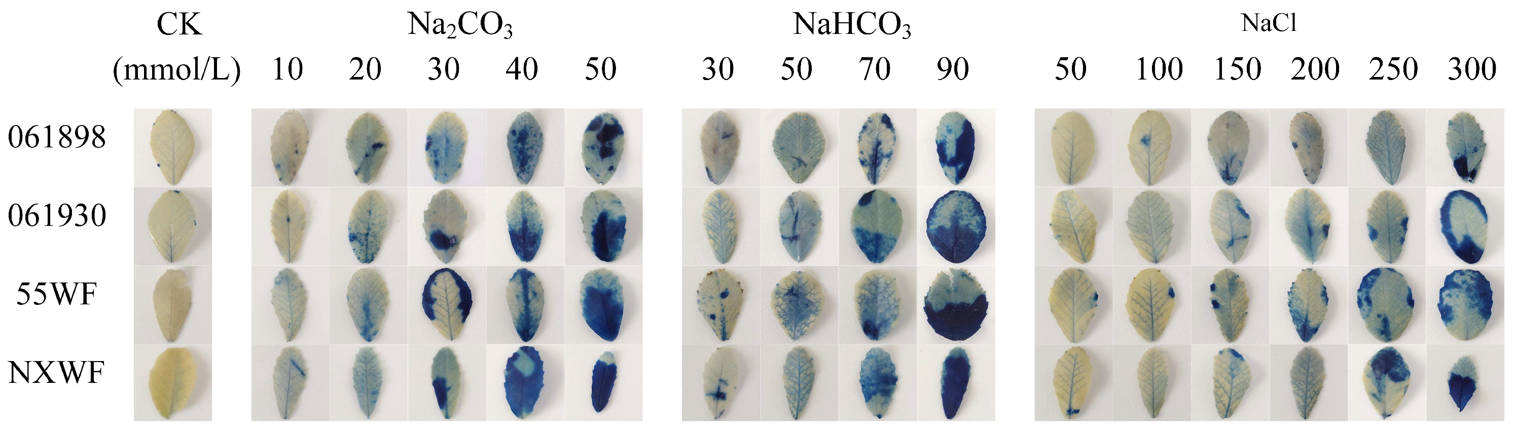 Horticulturae 10 00297 g009