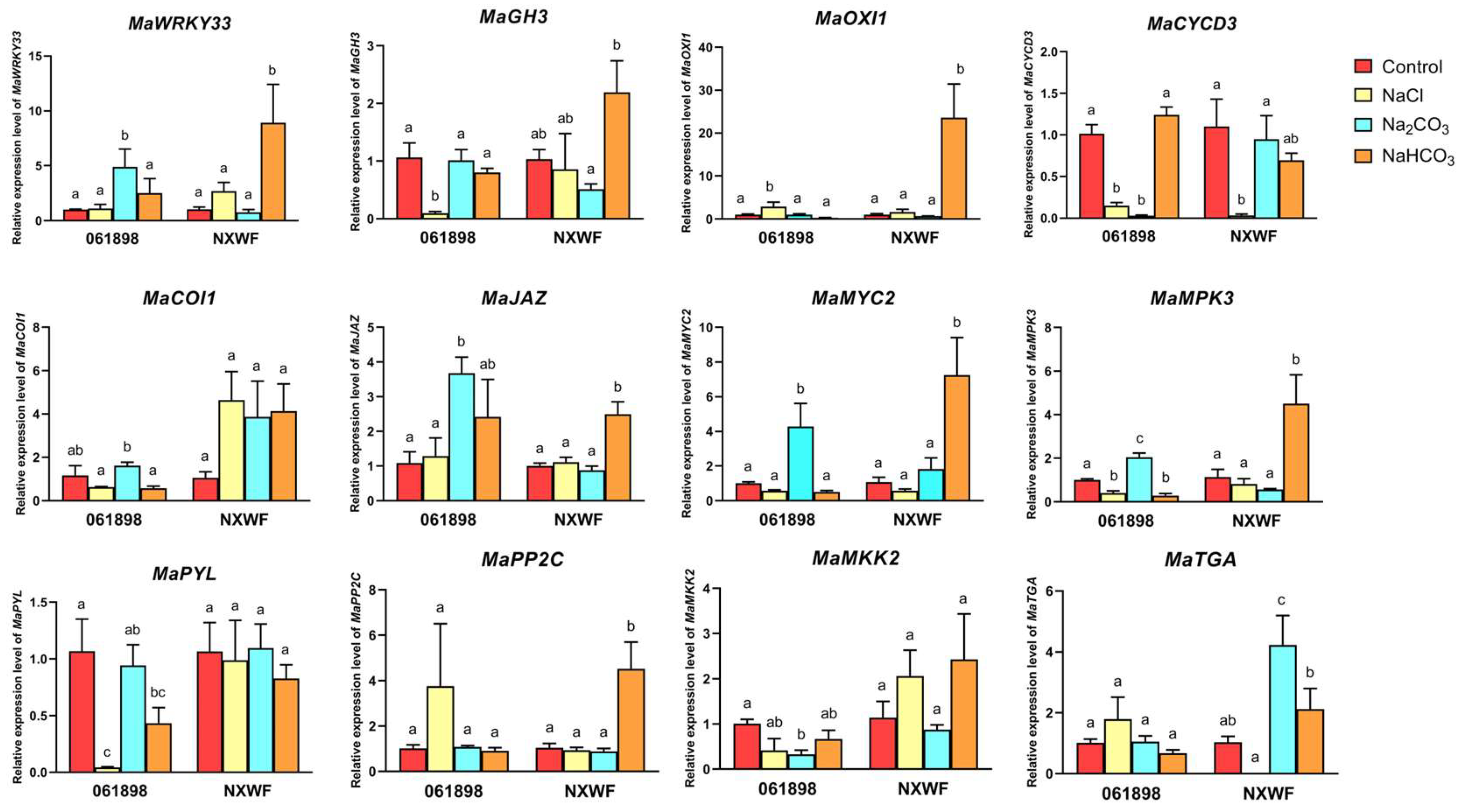 Horticulturae 10 00297 g016
