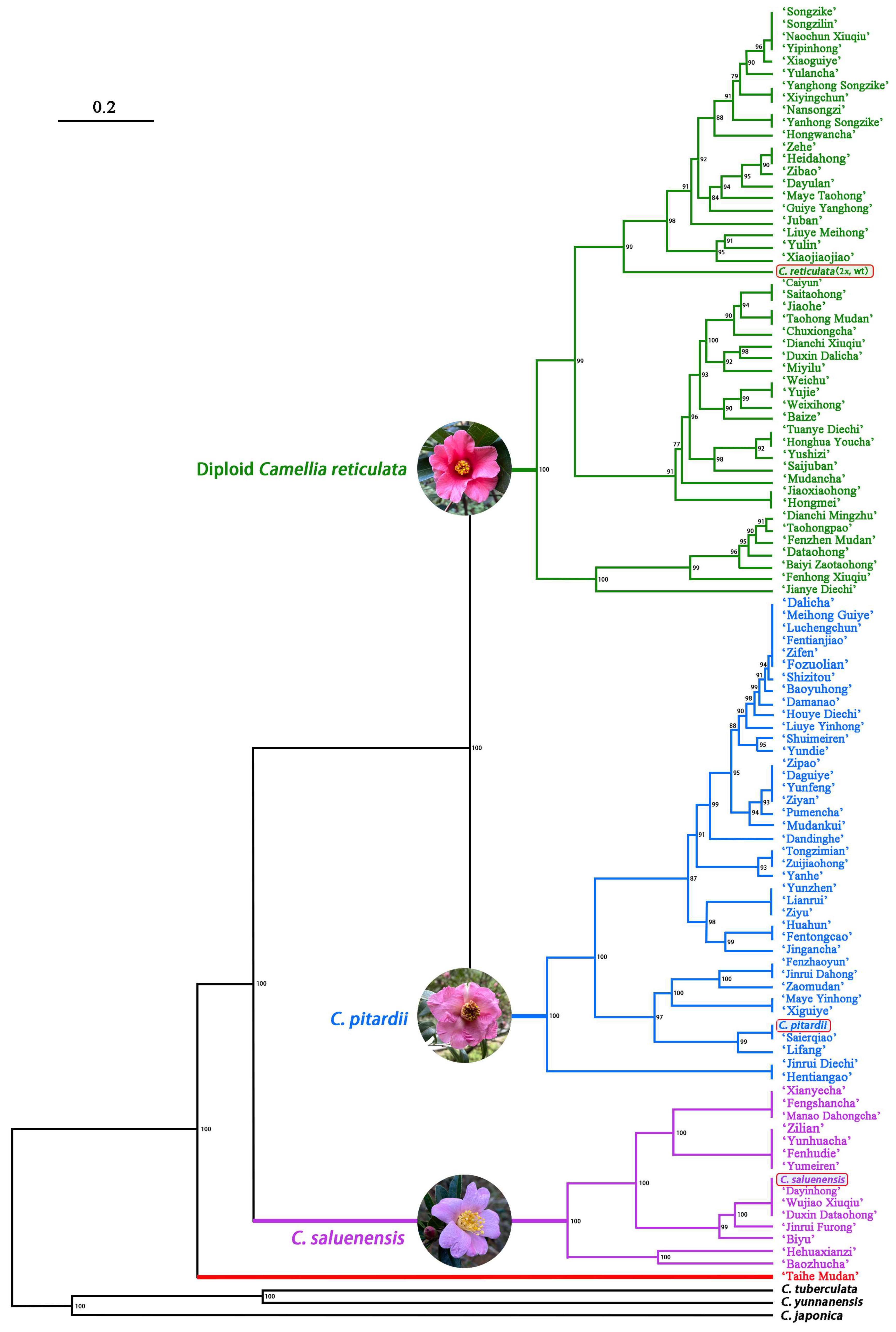 Horticulturae 10 00303 g004