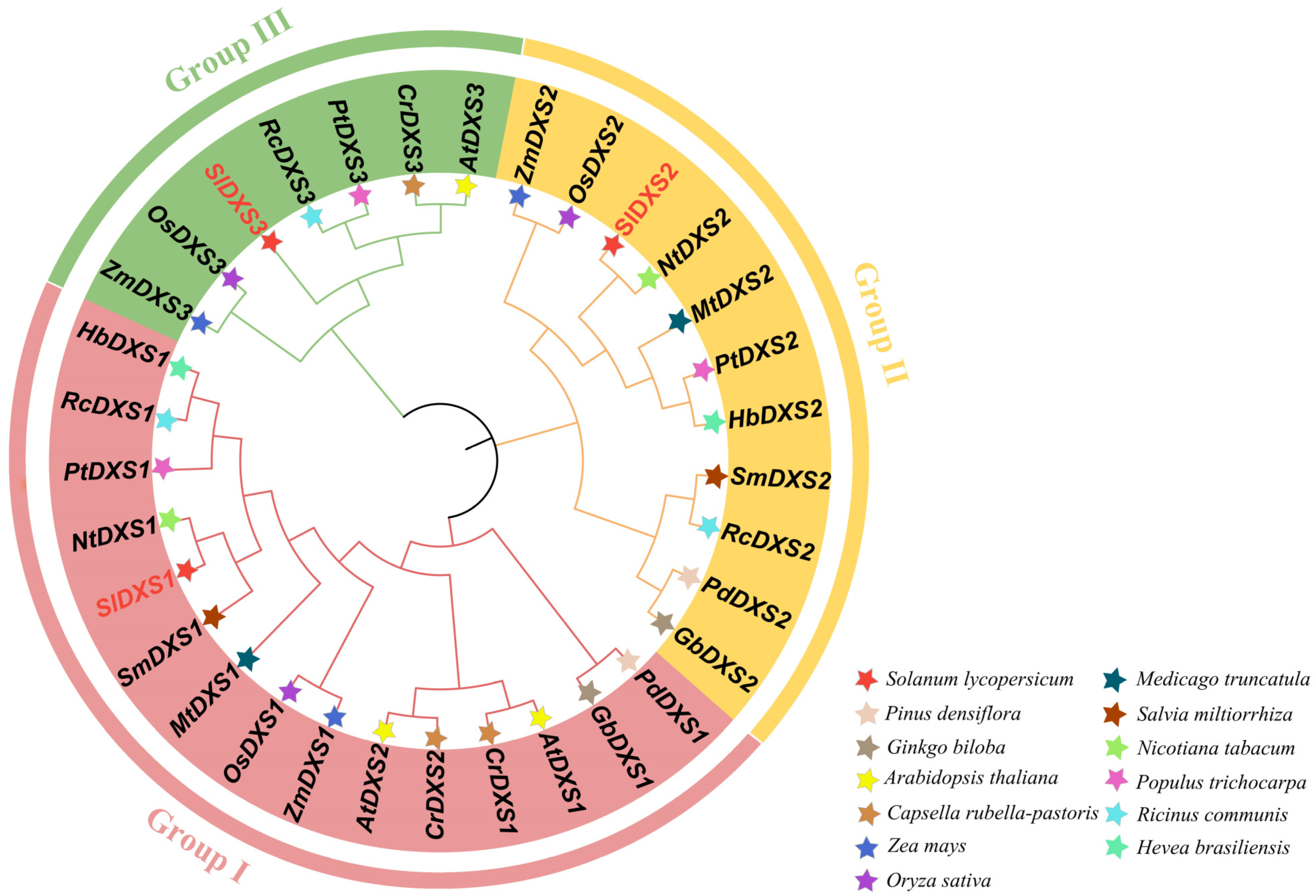 Horticulturae 10 00304 g002