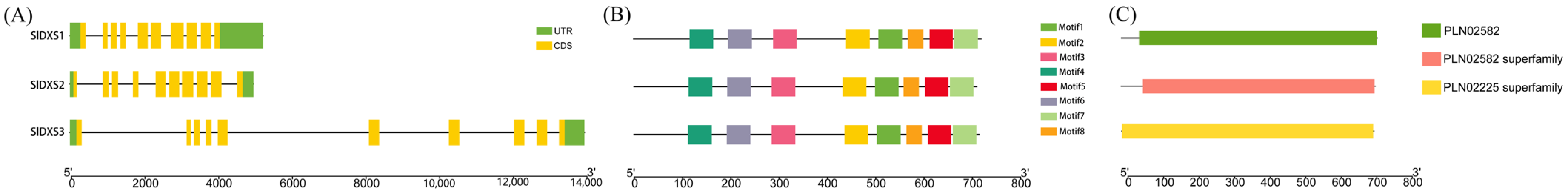 Horticulturae 10 00304 g003