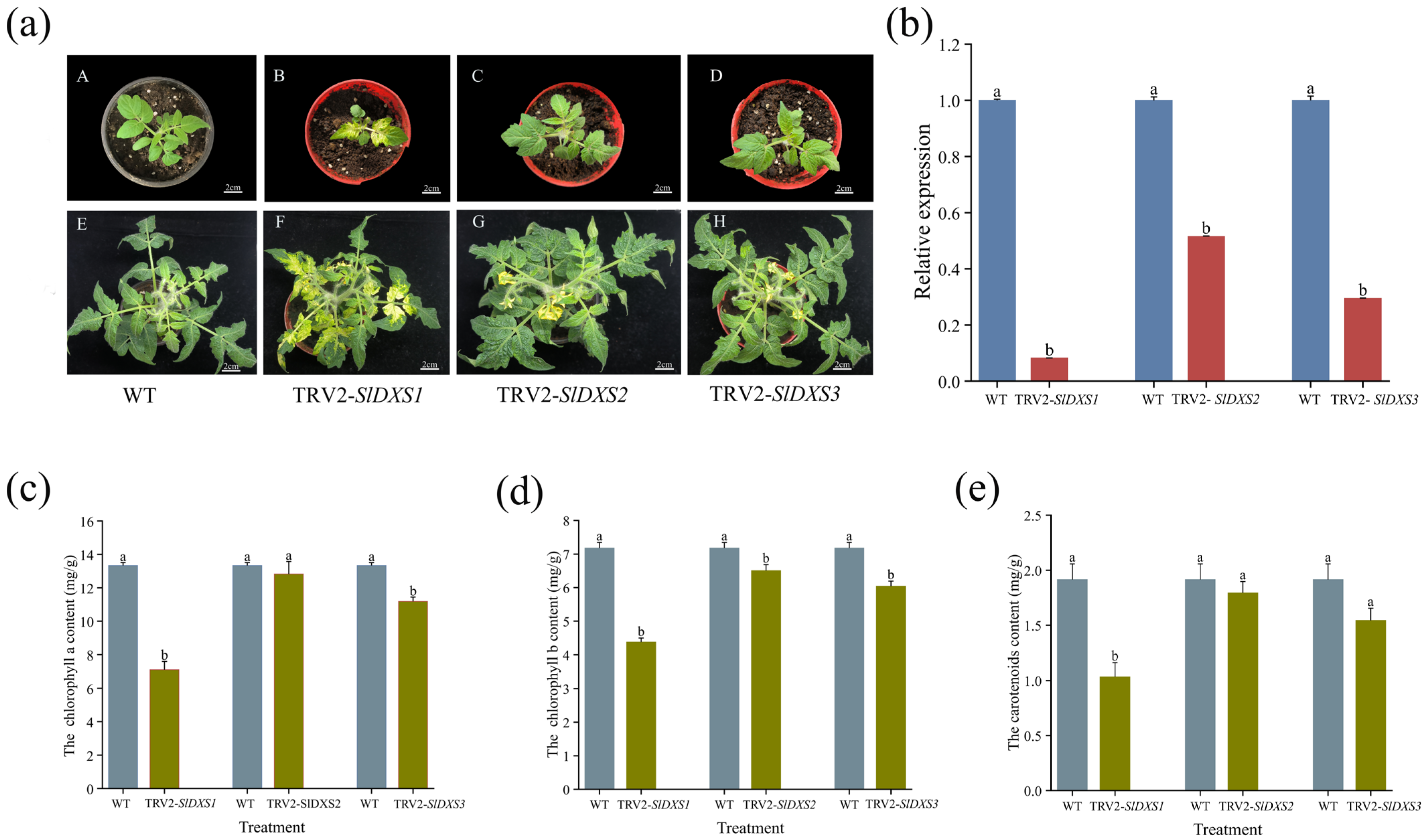 Horticulturae 10 00304 g006