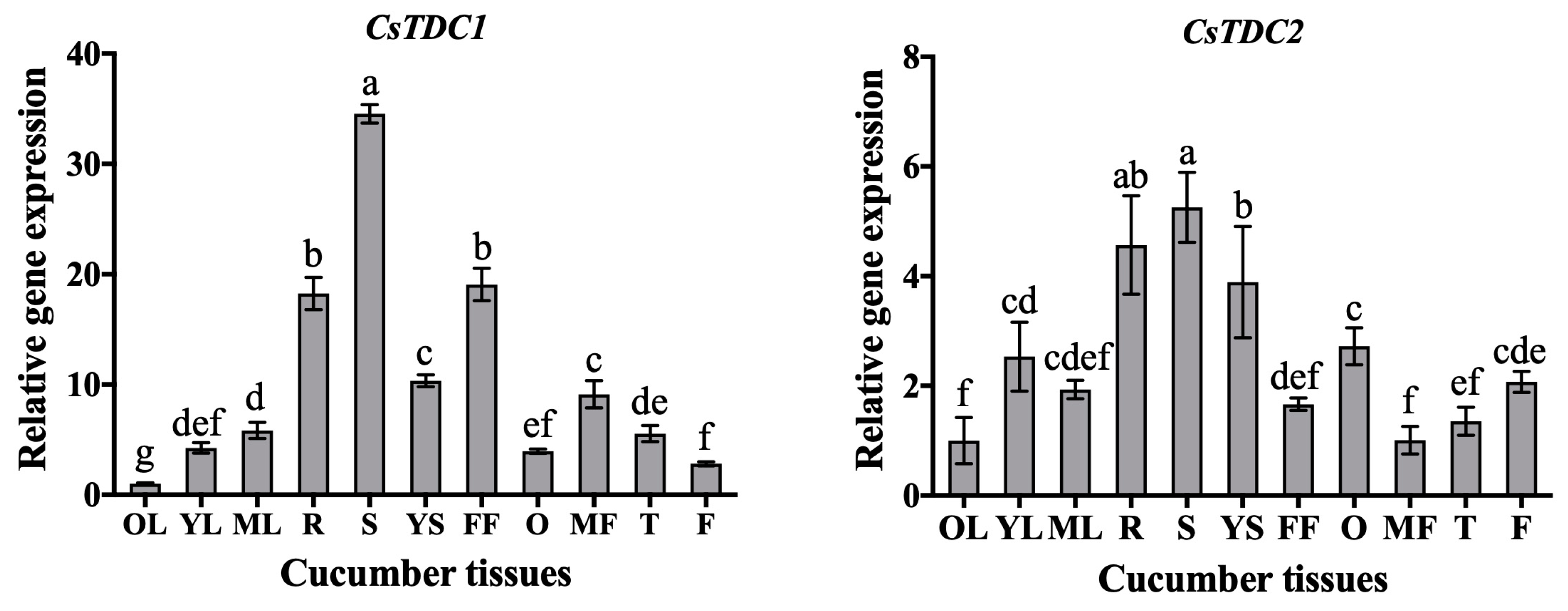 Horticulturae 10 00307 g001