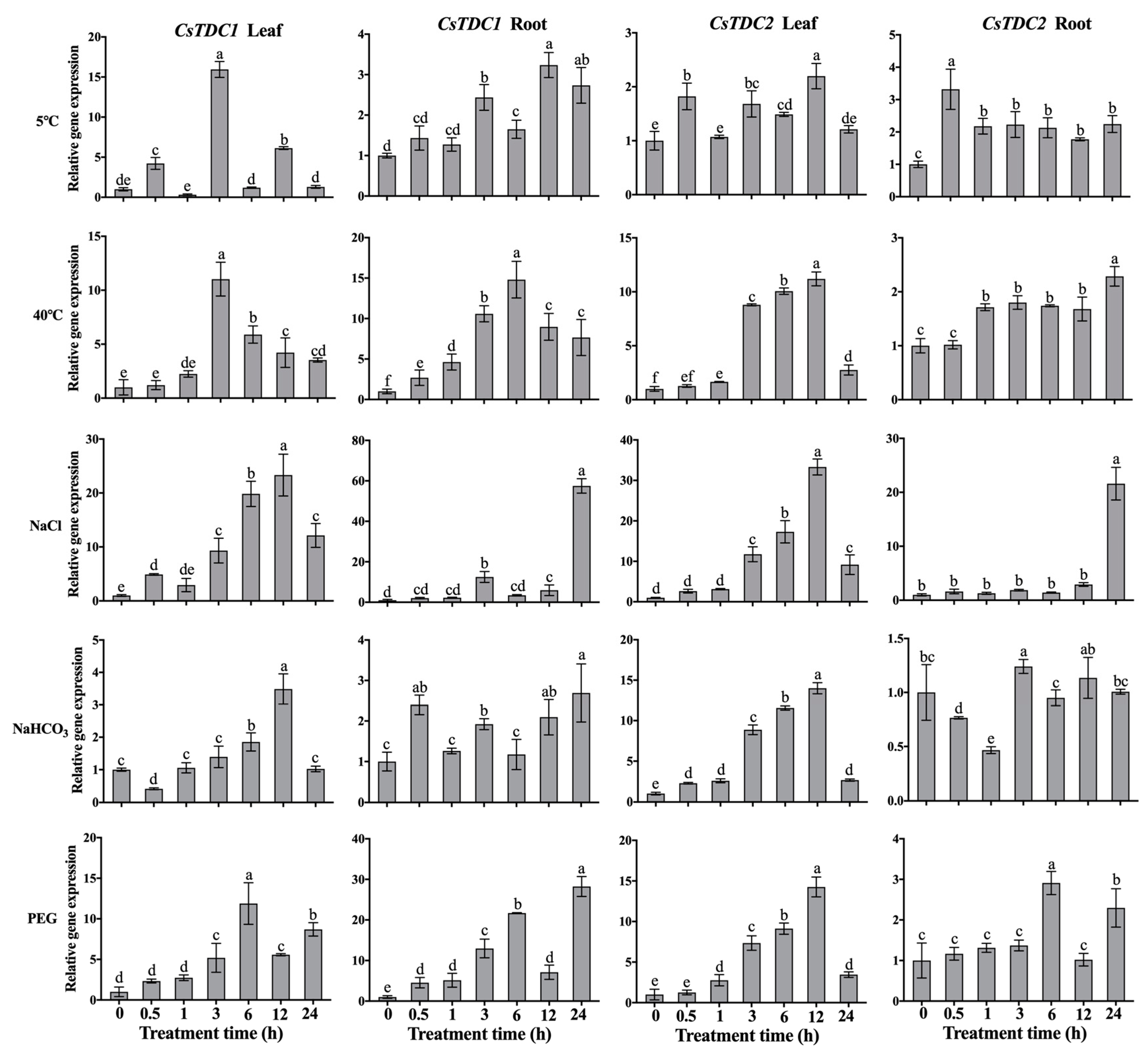 Horticulturae 10 00307 g002