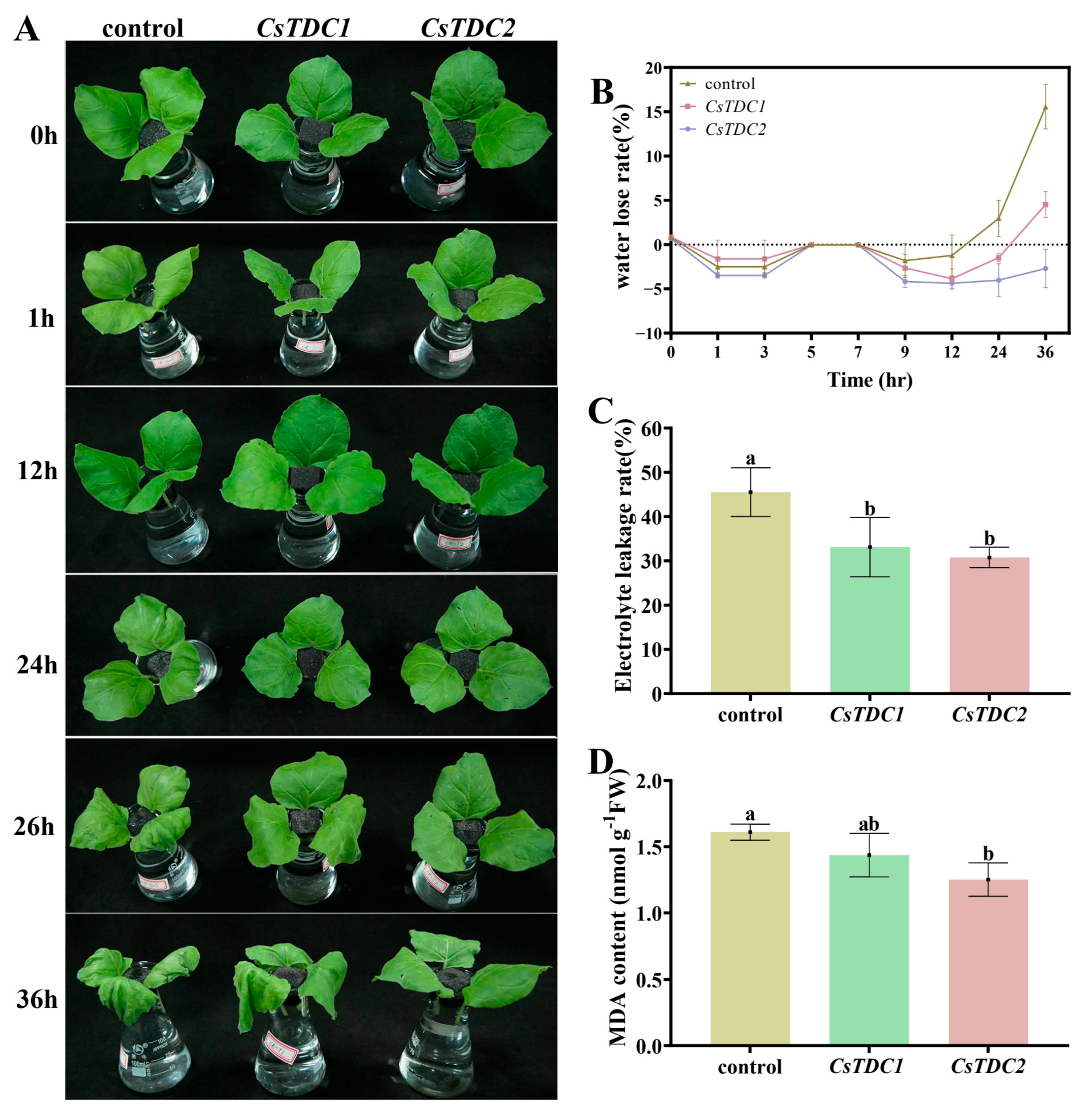 Horticulturae 10 00307 g006