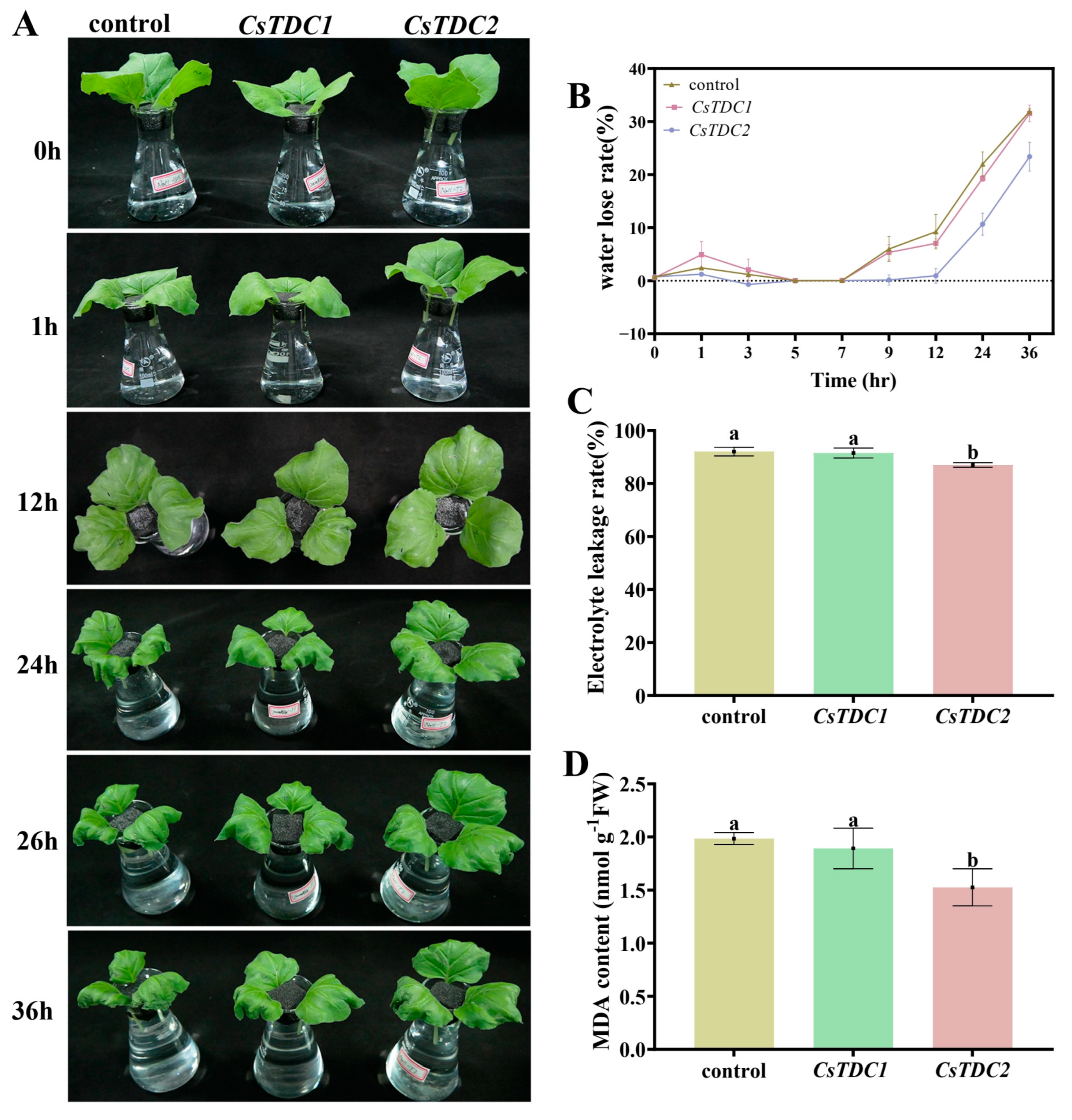 Horticulturae 10 00307 g007